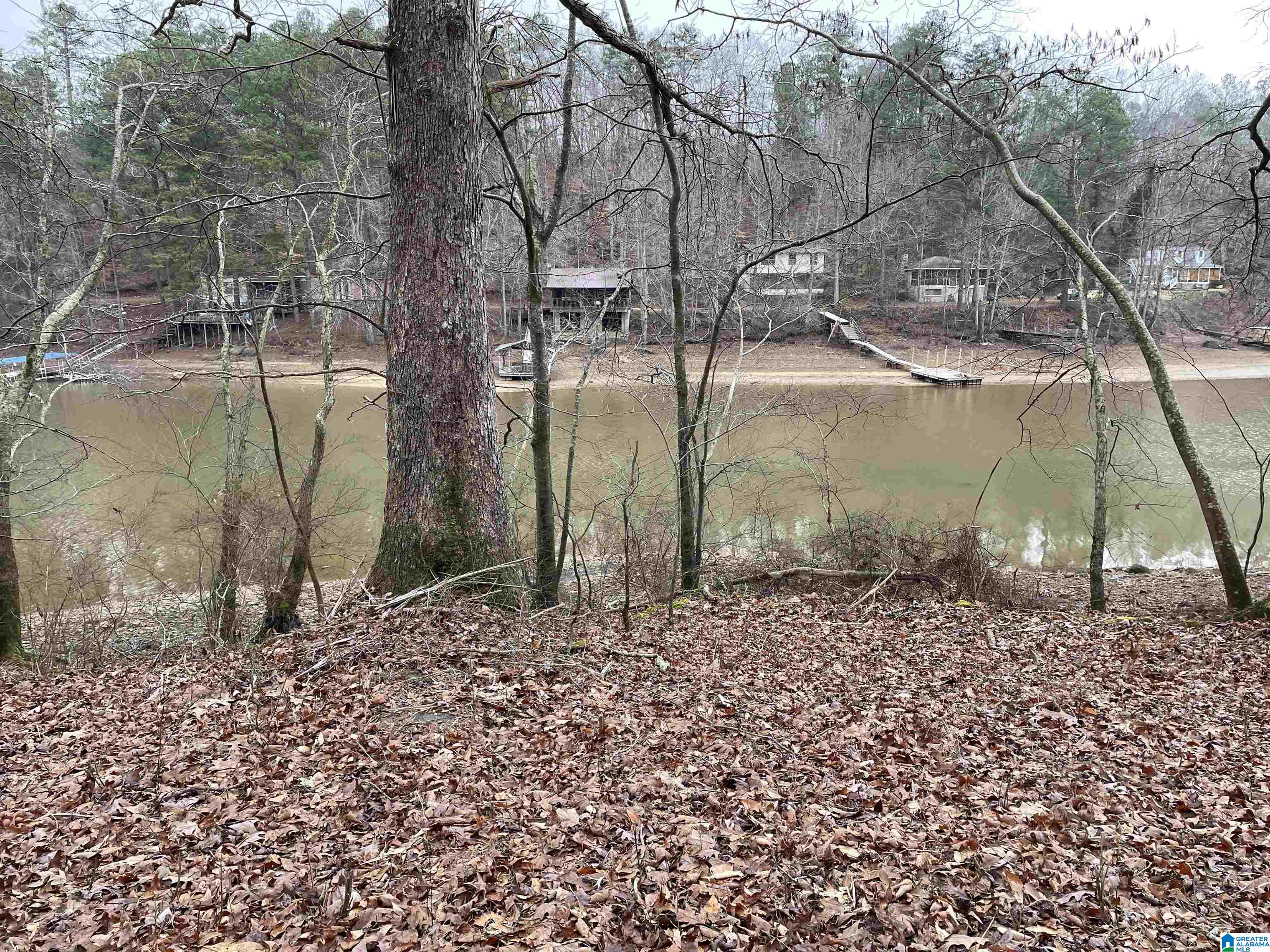 County Road 51 #15570, BREMEN, Alabama image 8