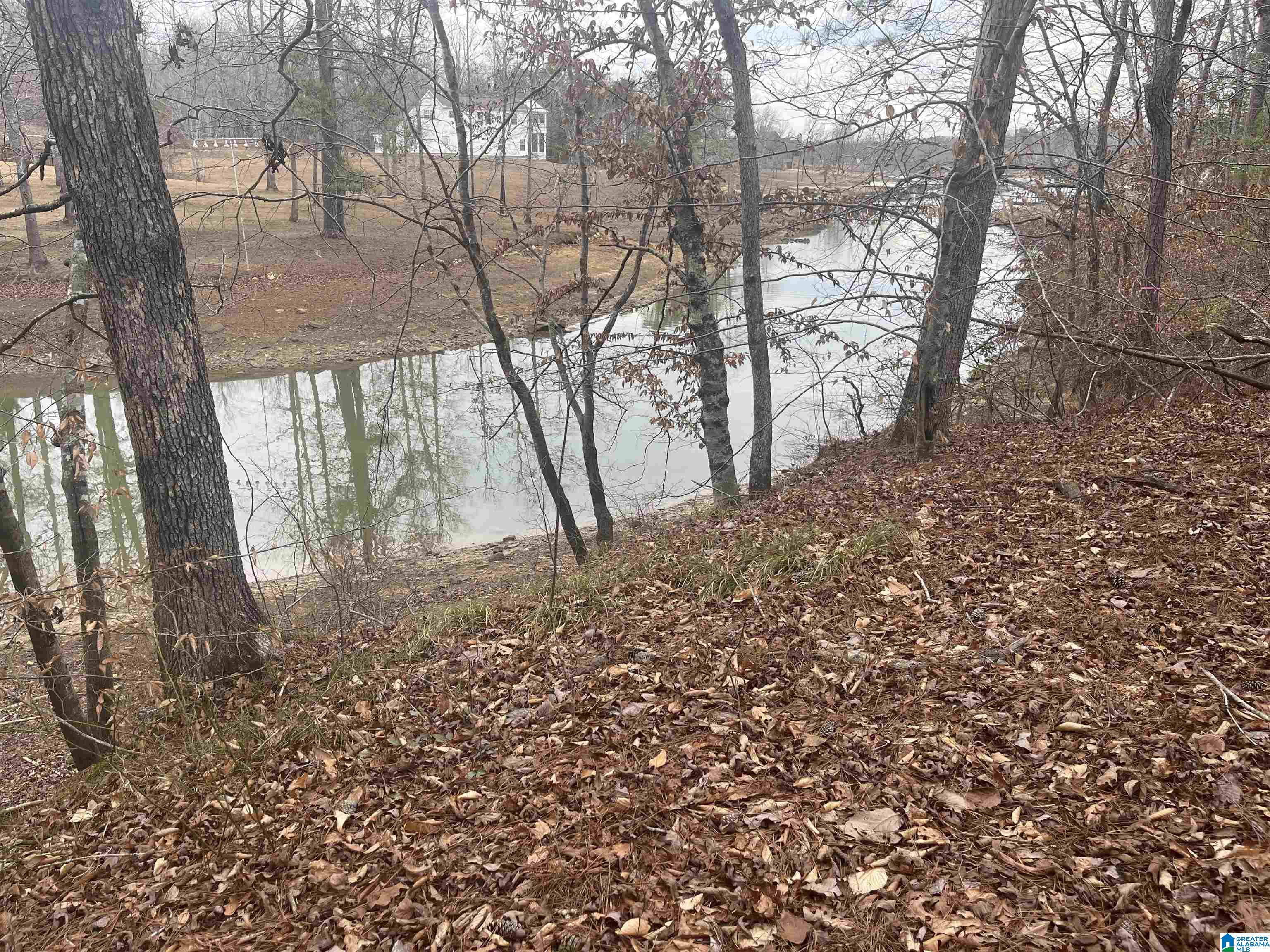 Lot 177 Stoney Point Landing #177, DOUBLE SPRINGS, Alabama image 5