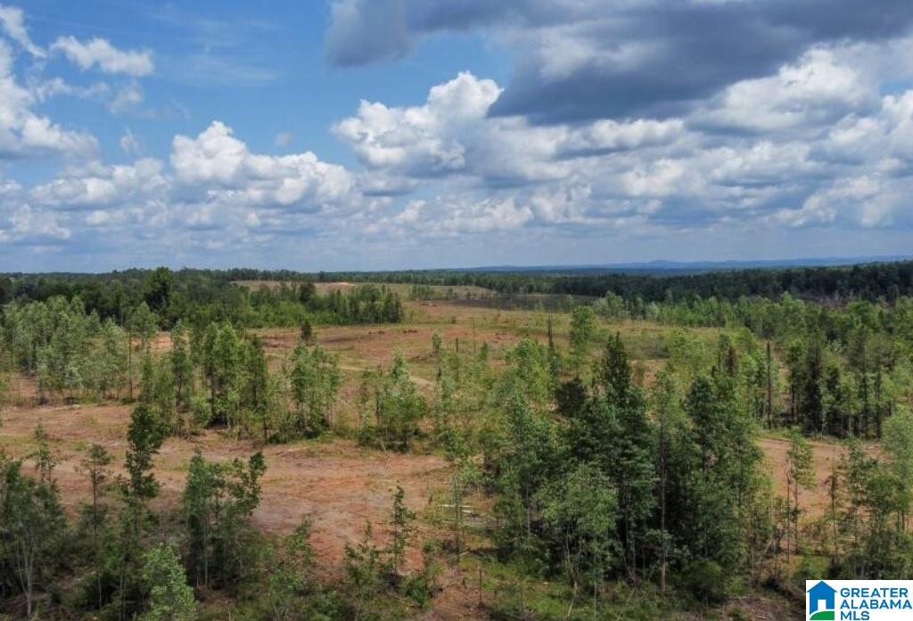 Homes for sale in Verbena, AL | 0 County Road 489, Verbena, AL 36091 | MLS# 21376681