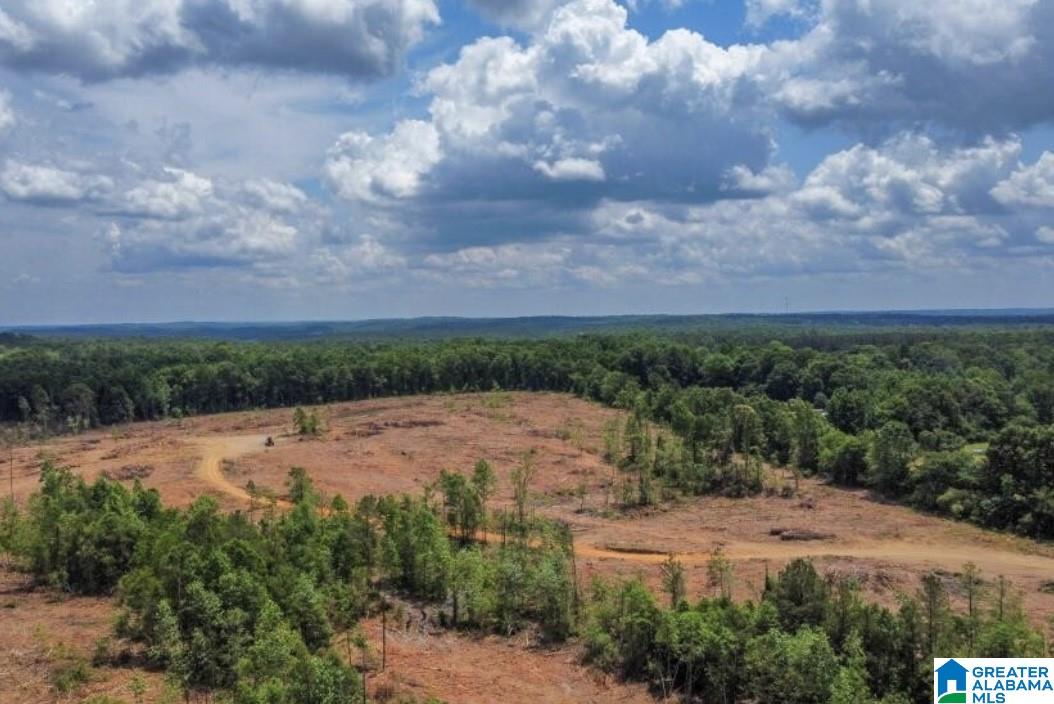 Homes for sale in Verbena, AL | 0 County Road 489, Verbena, AL 36091 | MLS# 21376681