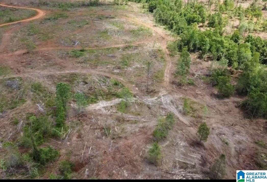 Homes for sale in Verbena, AL | 0 County Road 489, Verbena, AL 36091 | MLS# 21376681