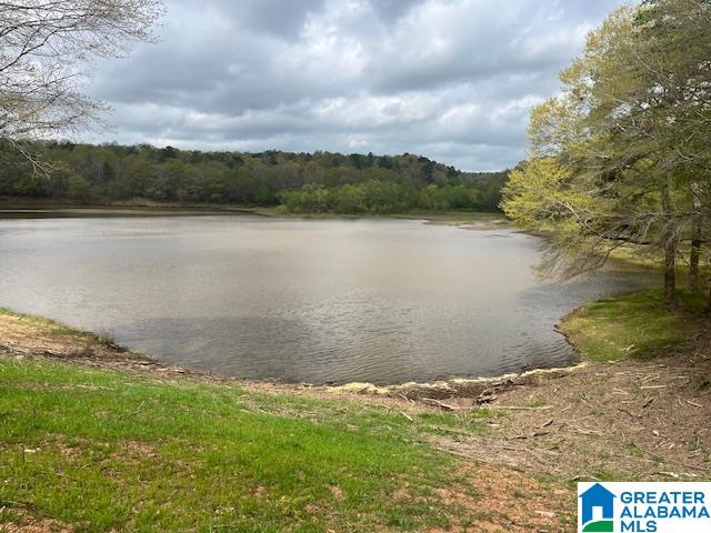 Homes for sale in Cragford, AL | Watershed Road, Cragford, AL 36255 | MLS# 21376941