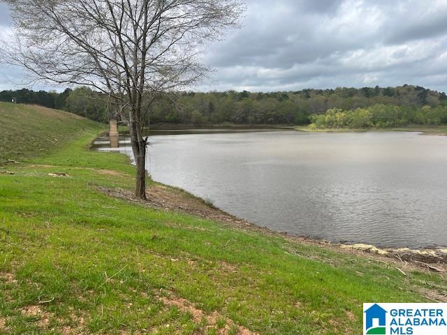 Homes for sale in Cragford, AL | Watershed Road, Cragford, AL 36255 | MLS# 21376941
