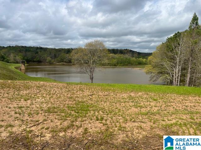 Homes for sale in Cragford, AL | Watershed Road, Cragford, AL 36255 | MLS# 21376941