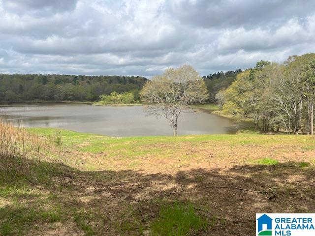 Homes for sale in Cragford, AL | Watershed Road, Cragford, AL 36255 | MLS# 21376941
