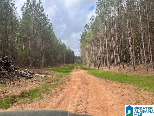 Homes for sale in Cragford, AL | Watershed Road, Cragford, AL 36255 | MLS# 21376941