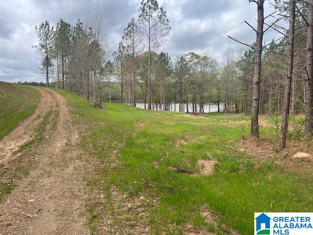 Homes for sale in Cragford, AL | Watershed Road, Cragford, AL 36255 | MLS# 21376941