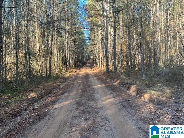 Homes for sale in Cragford, AL | Lambert Road, Cragford, AL 36255 | MLS# 21376944