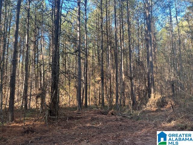 Homes for sale in Cragford, AL | Lambert Road, Cragford, AL 36255 | MLS# 21376944