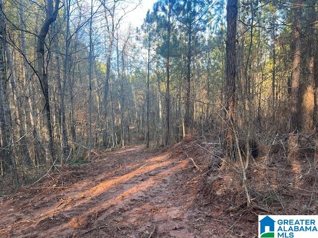 Homes for sale in Cragford, AL | Lambert Road, Cragford, AL 36255 | MLS# 21376944