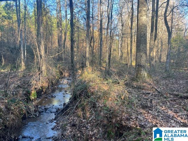 Homes for sale in Cragford, AL | Lambert Road, Cragford, AL 36255 | MLS# 21376944