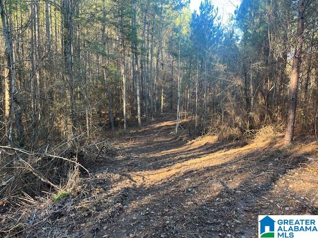 Homes for sale in Cragford, AL | Lambert Road, Cragford, AL 36255 | MLS# 21376944