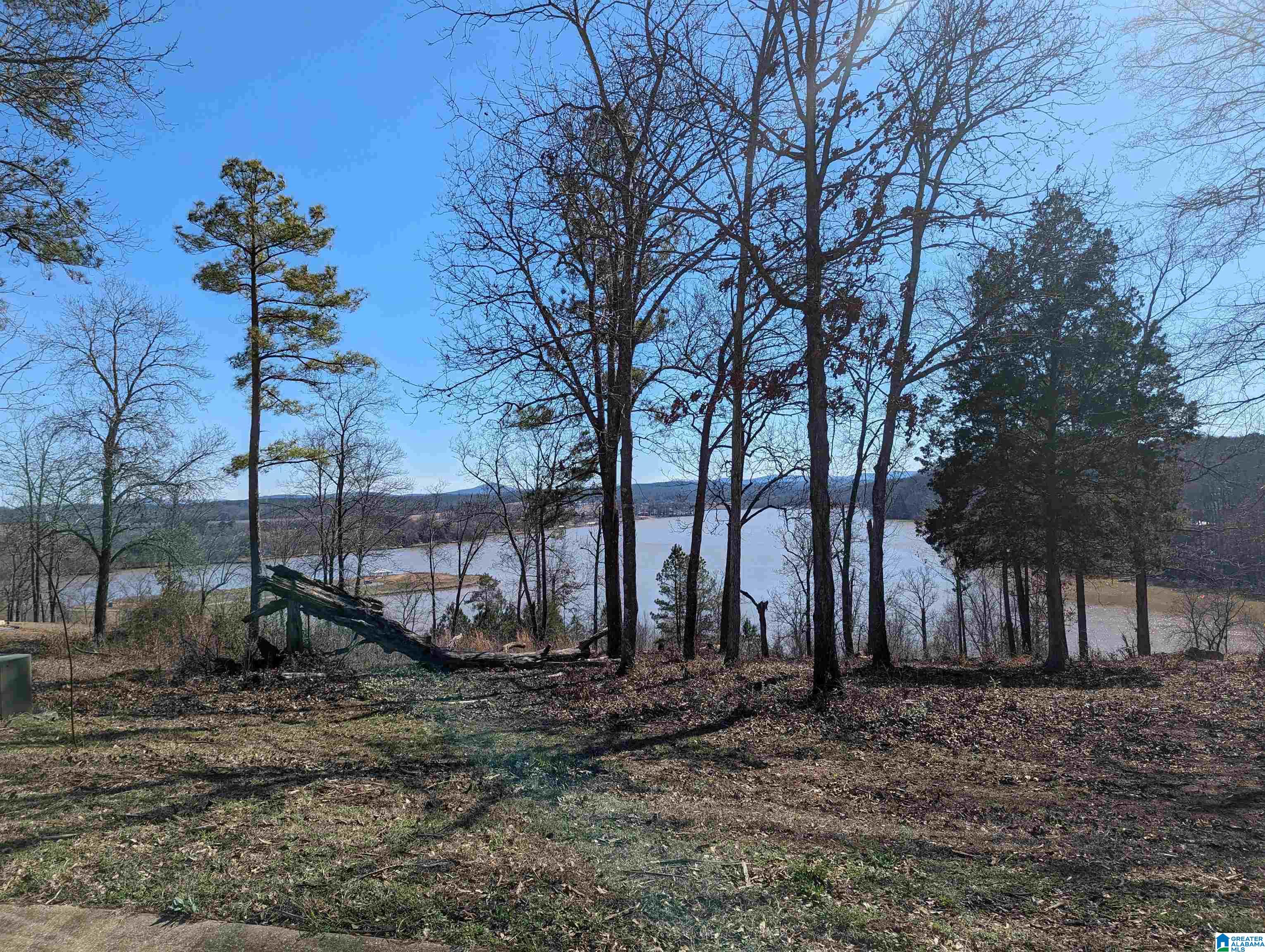 Homes for sale in Lincoln, AL | 0 Overlook Ridge, Lincoln, AL 35096 | MLS# 21377054