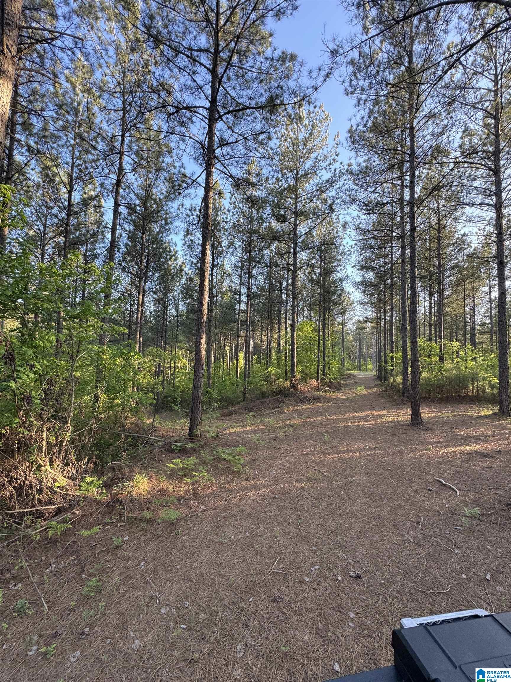 Homes for sale in Westover, AL | 218 Foxtail Path, Westover, AL 35147 | MLS# 21377055