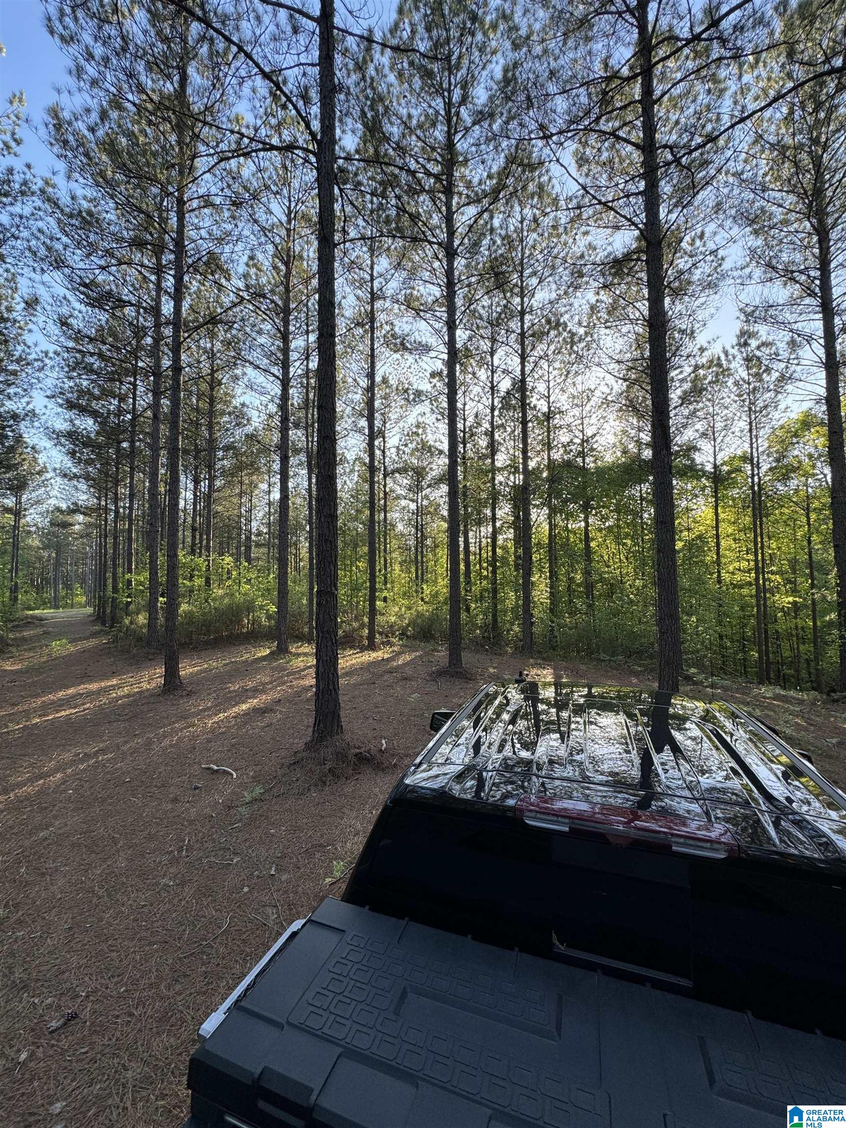 Homes for sale in Westover, AL | 218 Foxtail Path, Westover, AL 35147 | MLS# 21377055