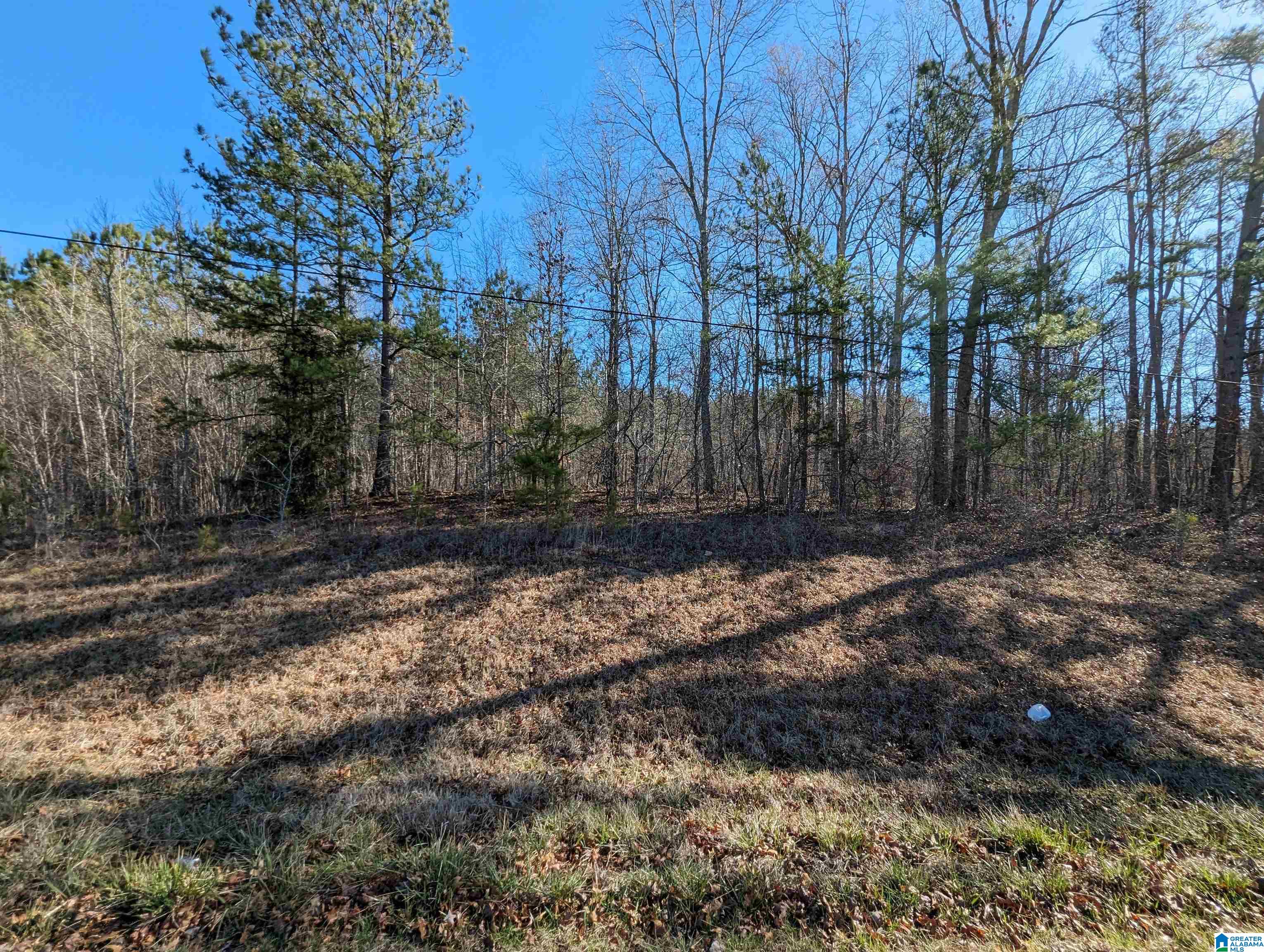 0 (5.7 Acres) HIGHWAY 77