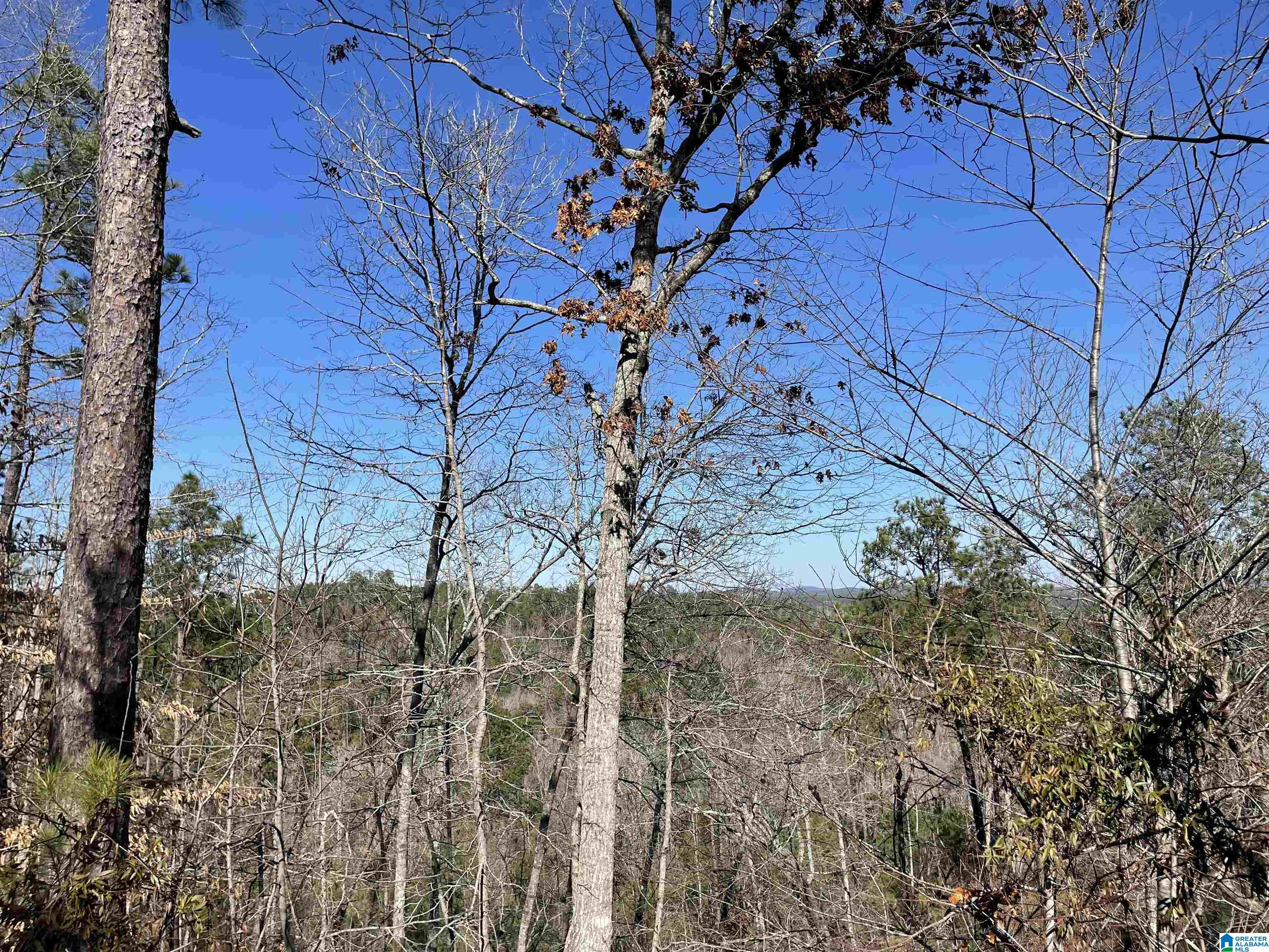 Eagle Mountain Road #+/- 35 ACRES, ROCKFORD, Alabama image 12