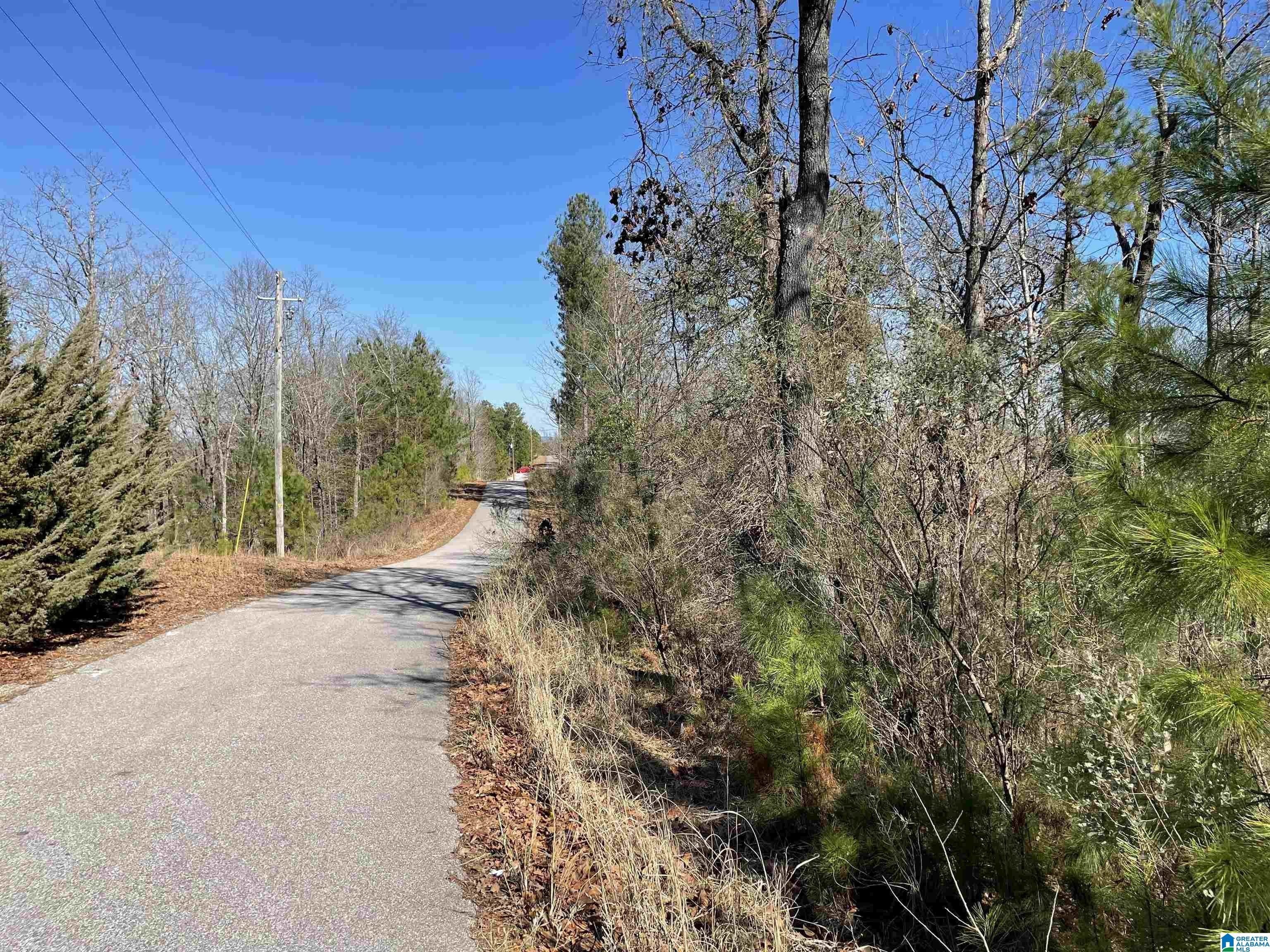 Eagle Mountain Road #32+/- ACRES, ROCKFORD, Alabama image 15