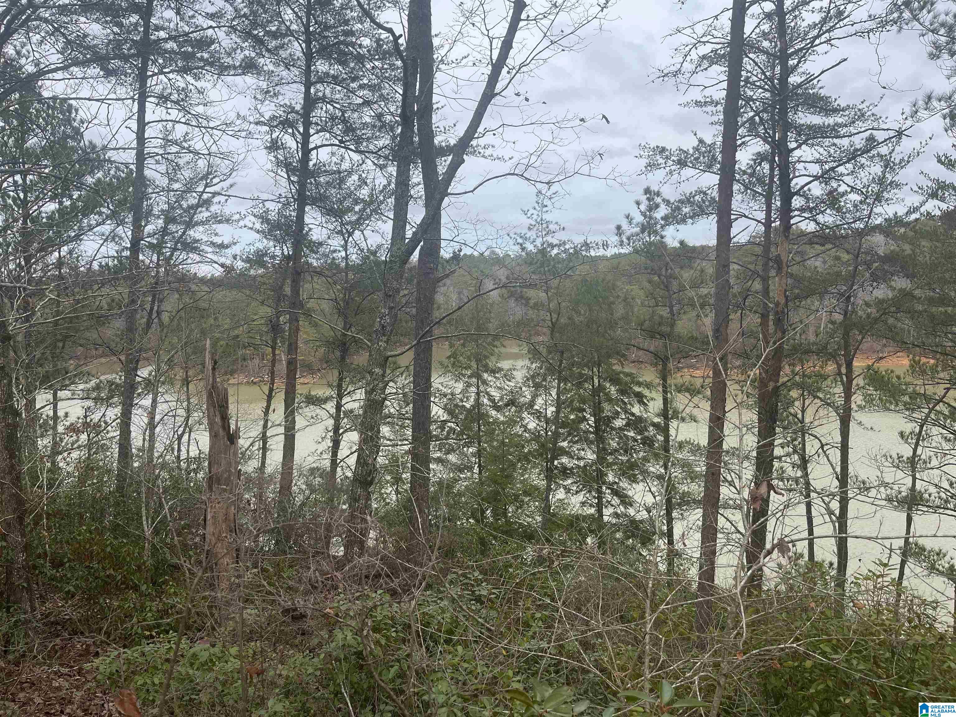 Lot 59 Sipsey Overlook Drive #59, DOUBLE SPRINGS, Alabama image 10