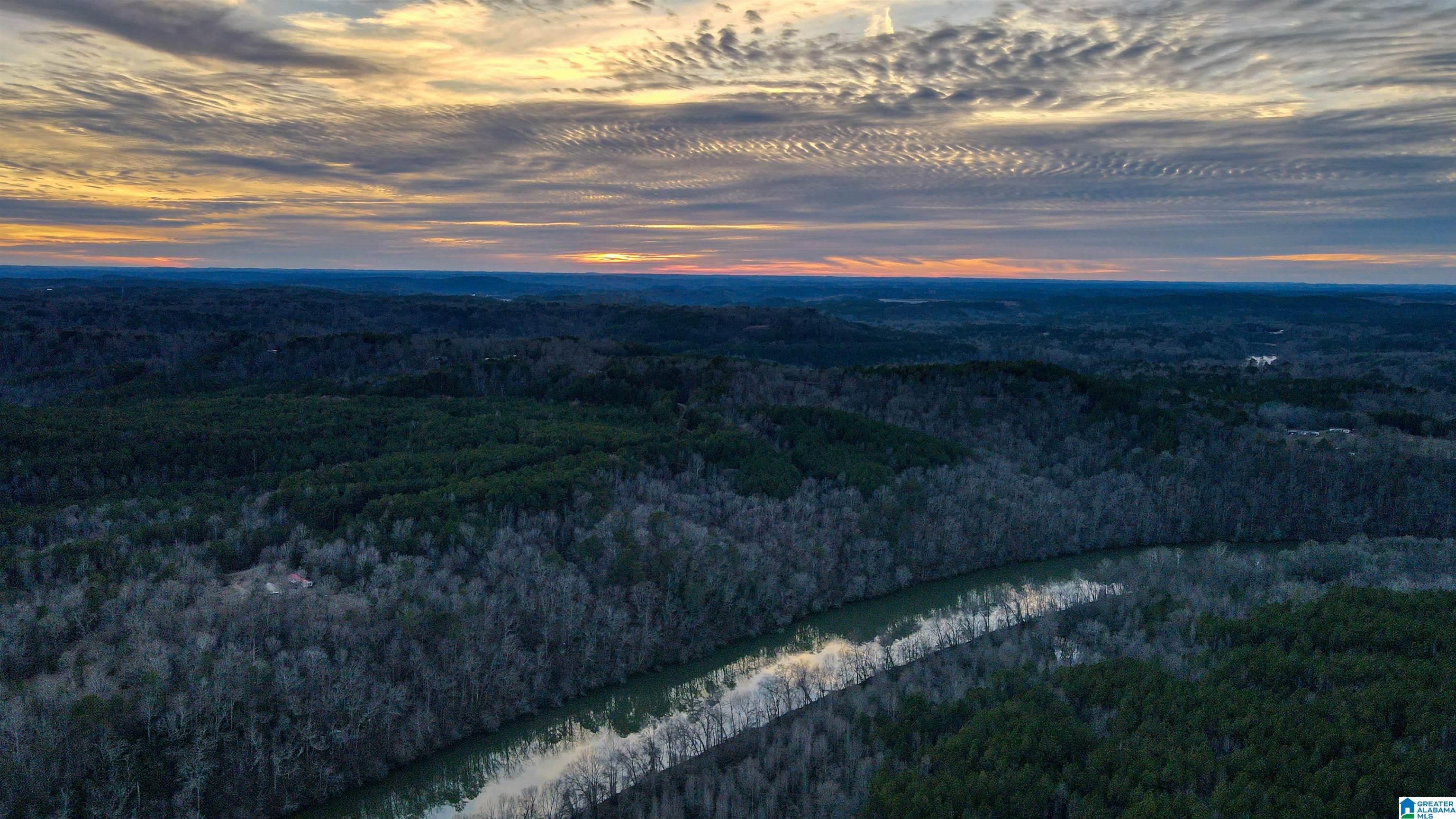 River Crest Drive #1, CORDOVA, Alabama image 29