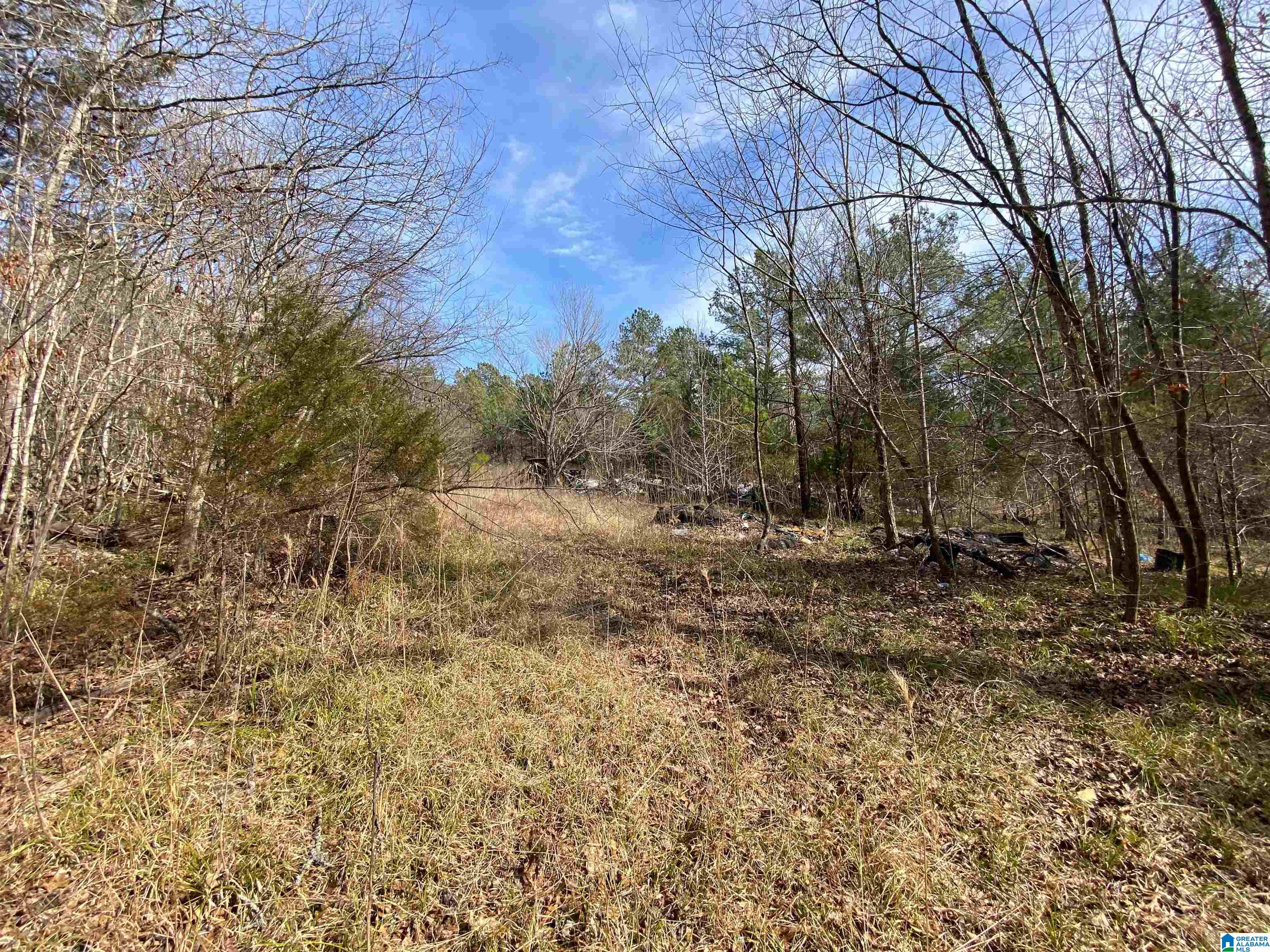 Highway 231 #TRACT B - 27+/- AC, ASHVILLE, Alabama image 14