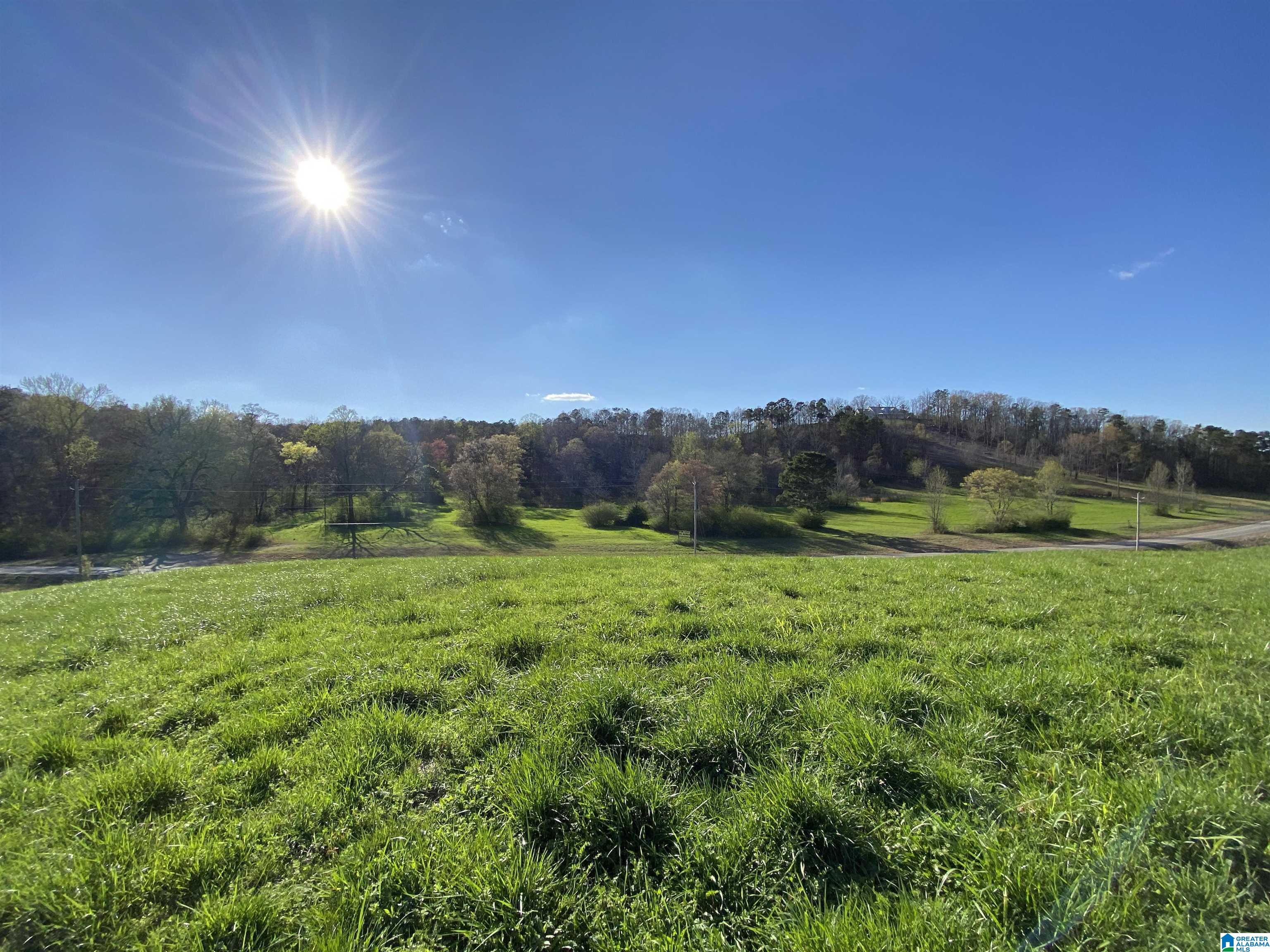 Homes for sale in Springville, AL | 6423 Hwy 174, Springville, AL 35146 | MLS# 21377715