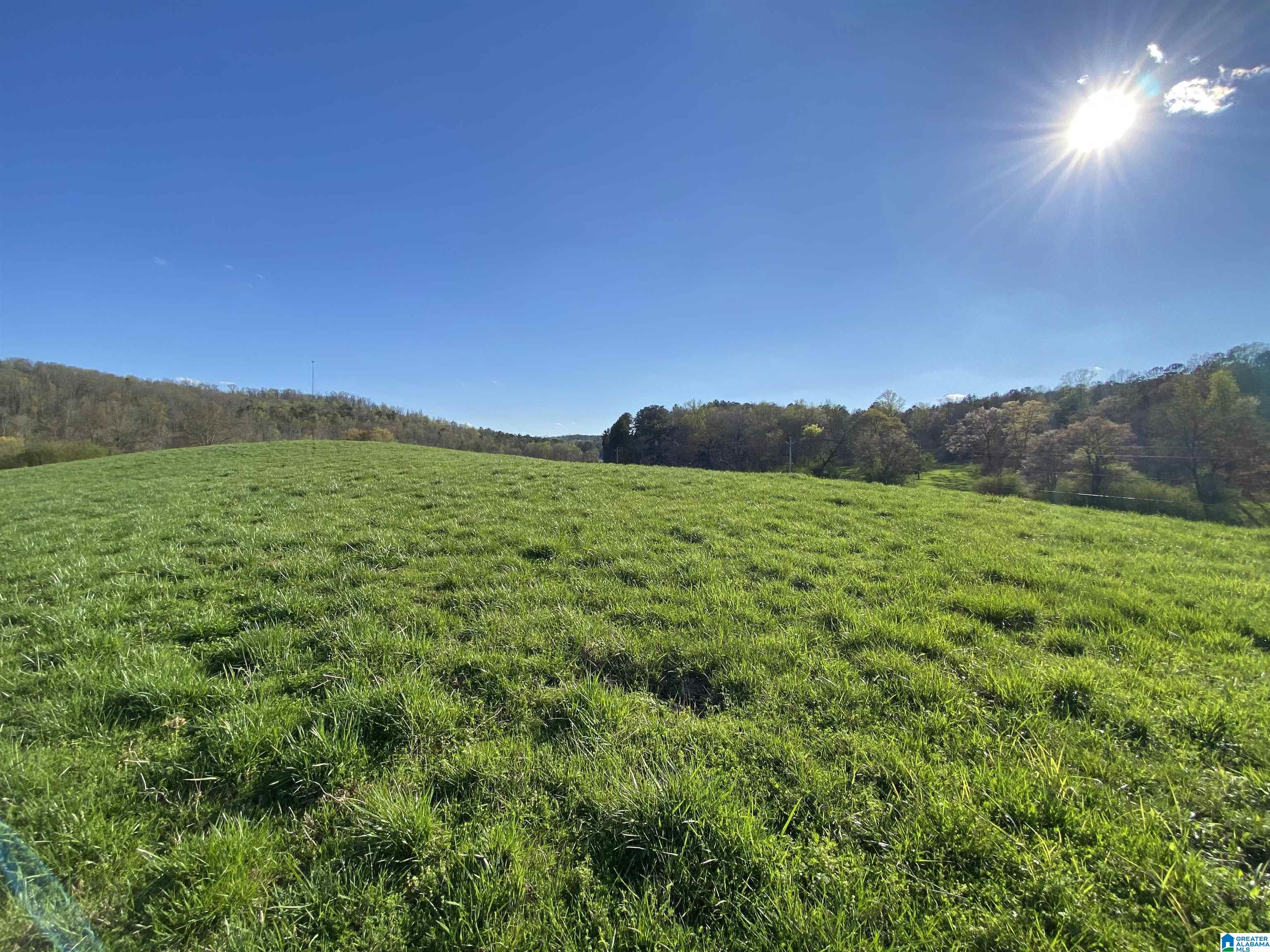 Homes for sale in Springville, AL | 6423 Hwy 174, Springville, AL 35146 | MLS# 21377715