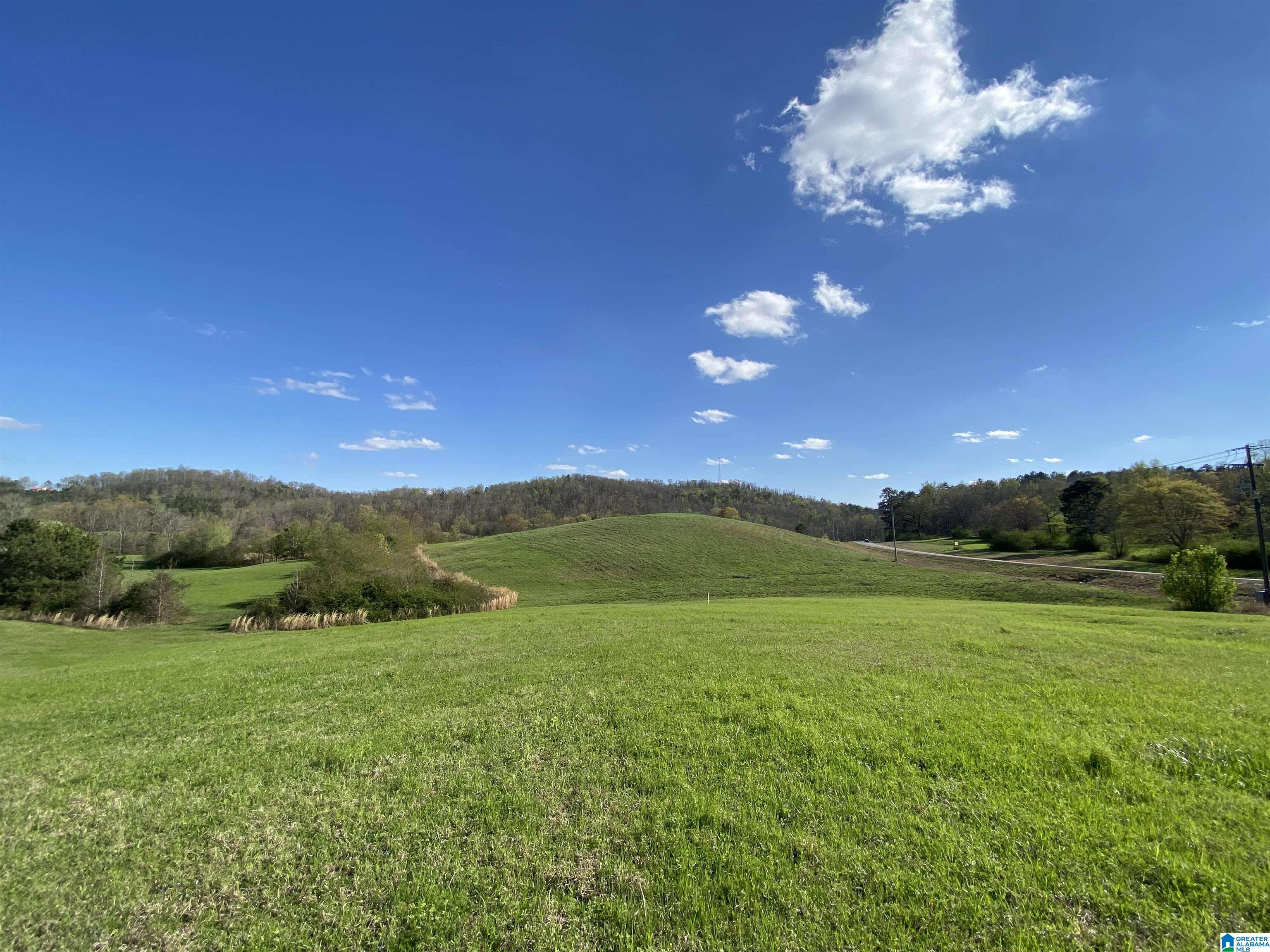 Homes for sale in Springville, AL | 6555 Hwy 174, Springville, AL 35146 | MLS# 21377717