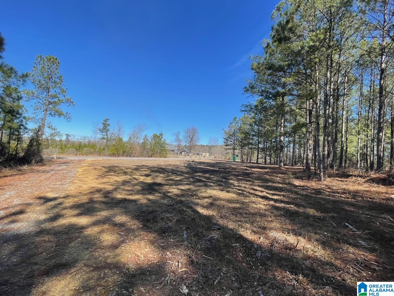 89 Golden Pond Road #9, ASHVILLE, Alabama image 9