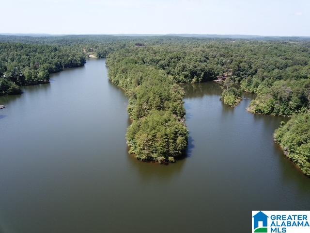 Homes for sale in Clanton, AL | 0 Sunny Side Dr, Clanton, AL 35045 | MLS# 21378880