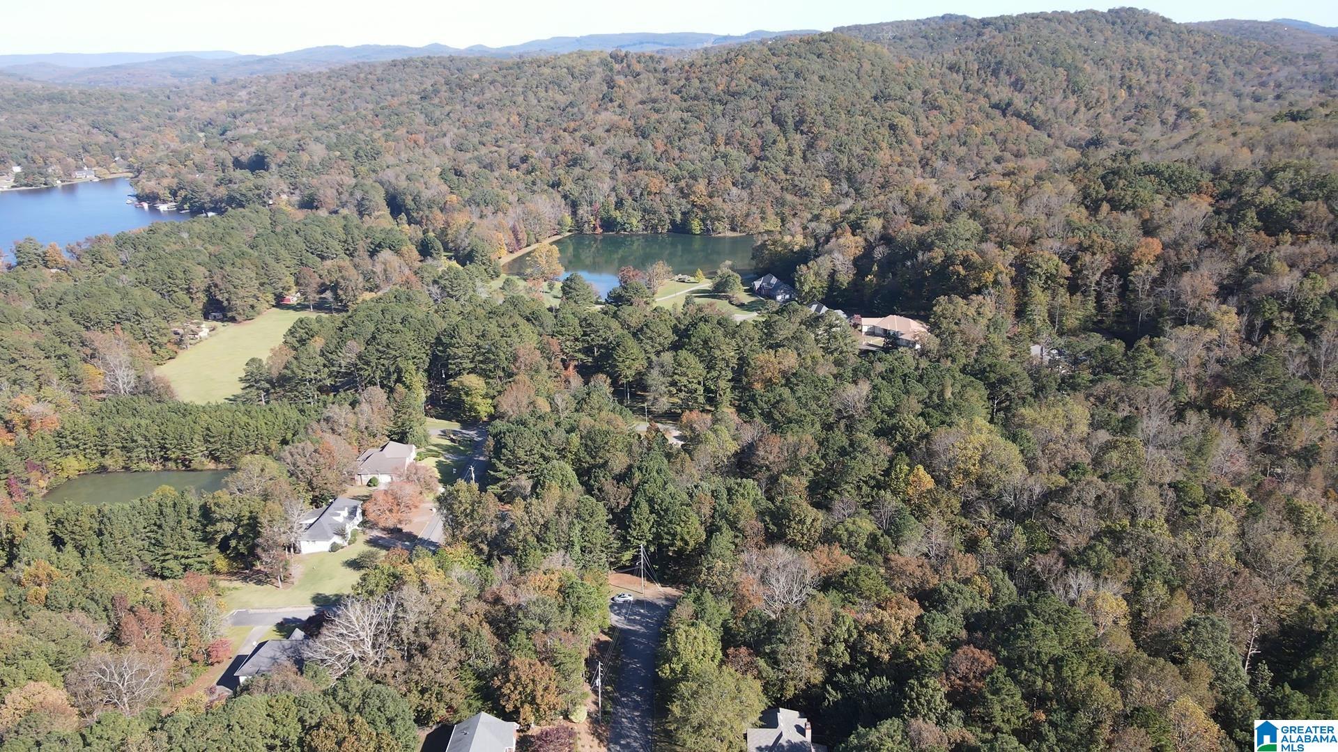 Homes for sale in Pinson, AL | 8201 Emerald Lane, Pinson, AL 35126 | MLS# 21379097