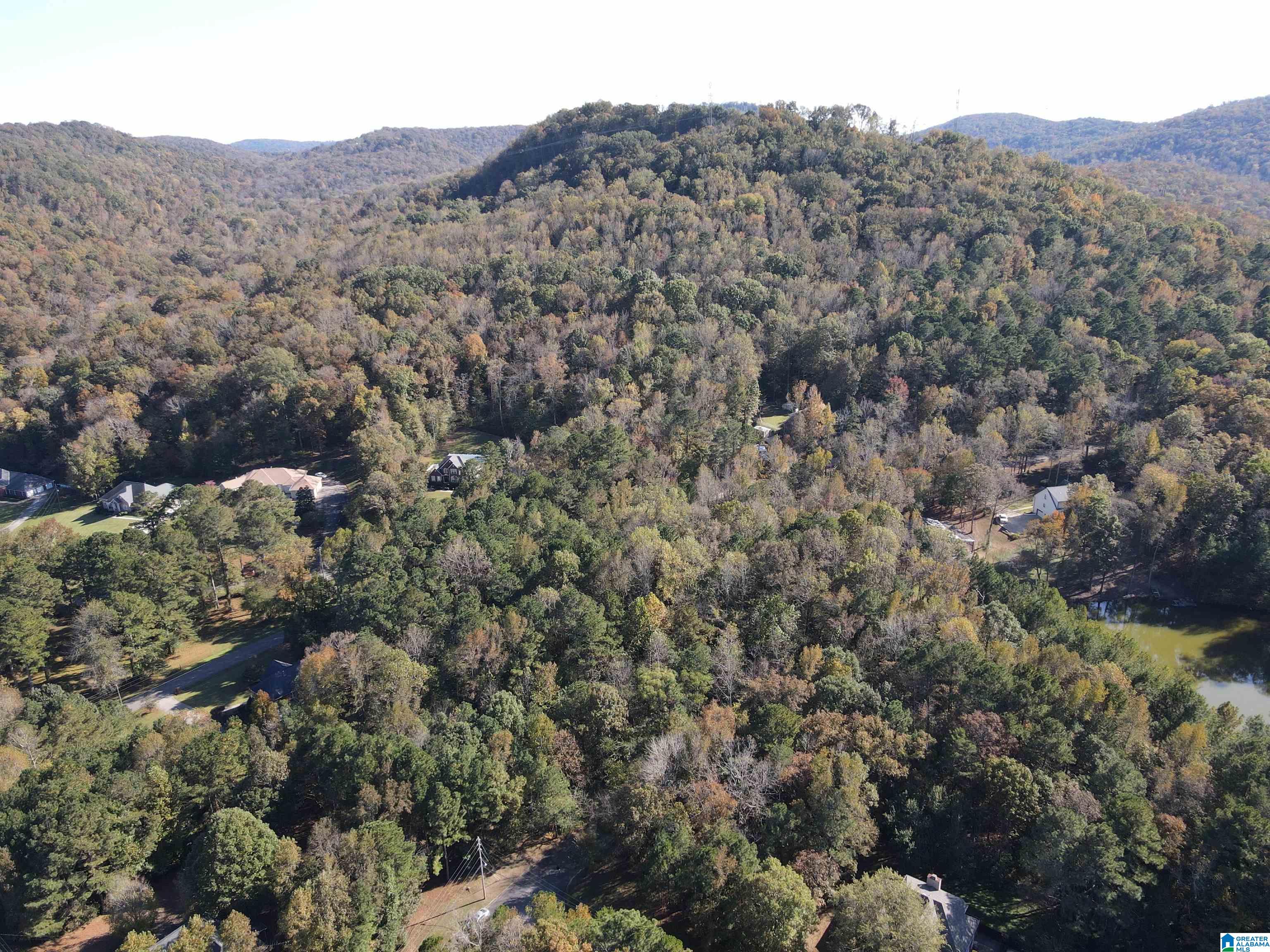 Homes for sale in Pinson, AL | 8201 Emerald Lane, Pinson, AL 35126 | MLS# 21379097