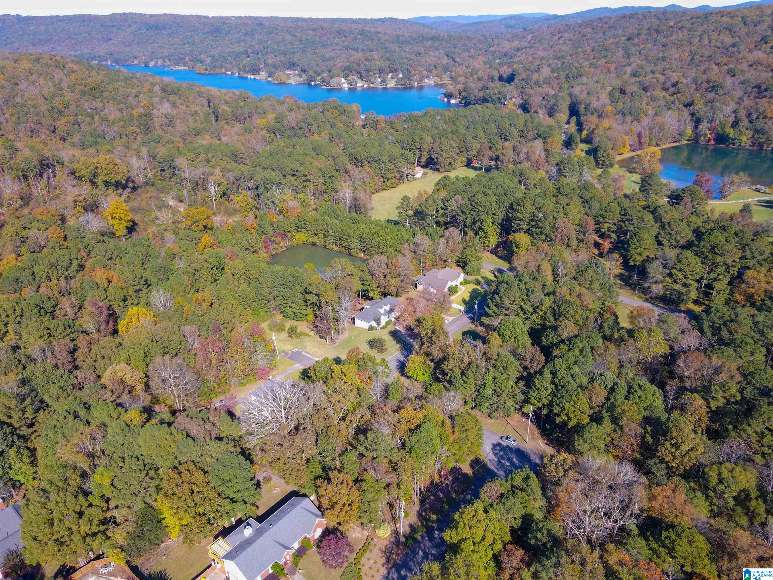 Homes for sale in Pinson, AL | 8201 Emerald Lane, Pinson, AL 35126 | MLS# 21379097