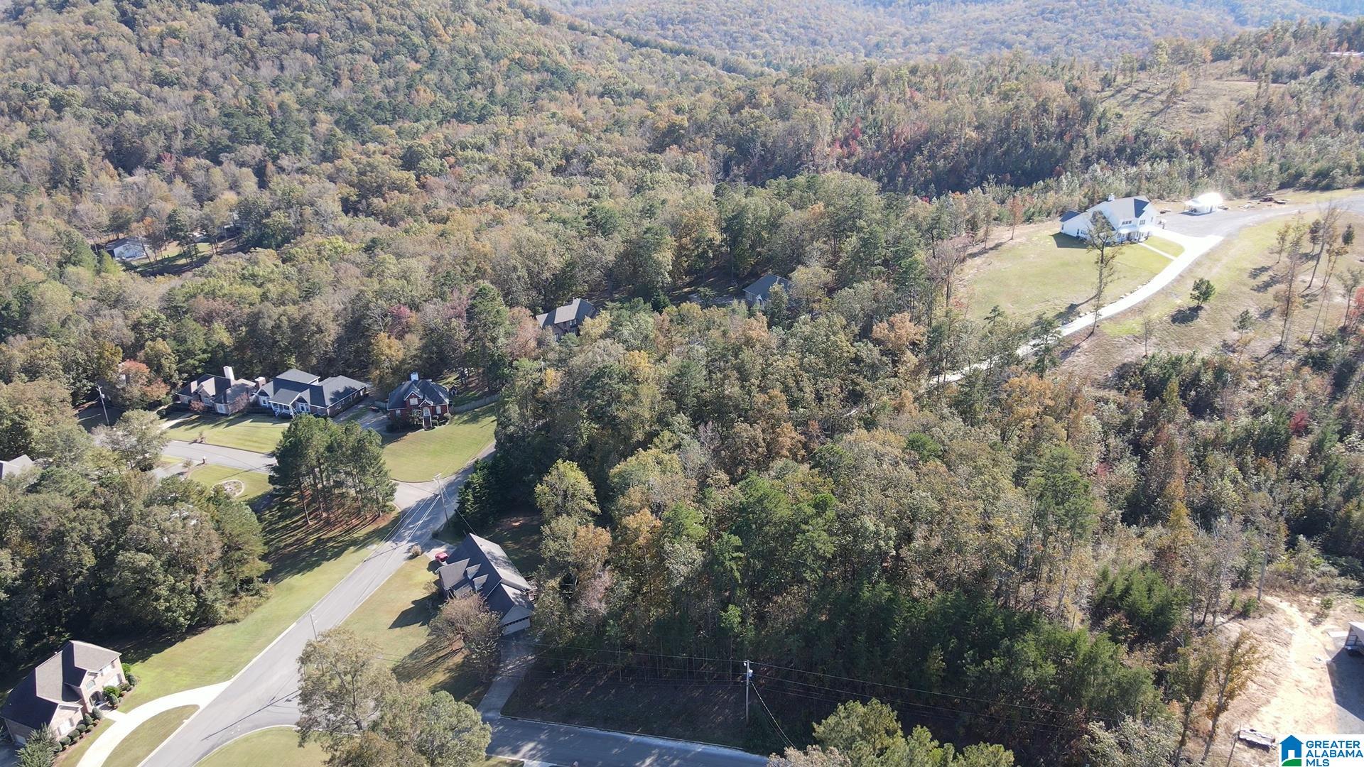 Homes for sale in Pinson, AL | 6191 Deer Ridge Run, Pinson, AL 35126 | MLS# 21379098