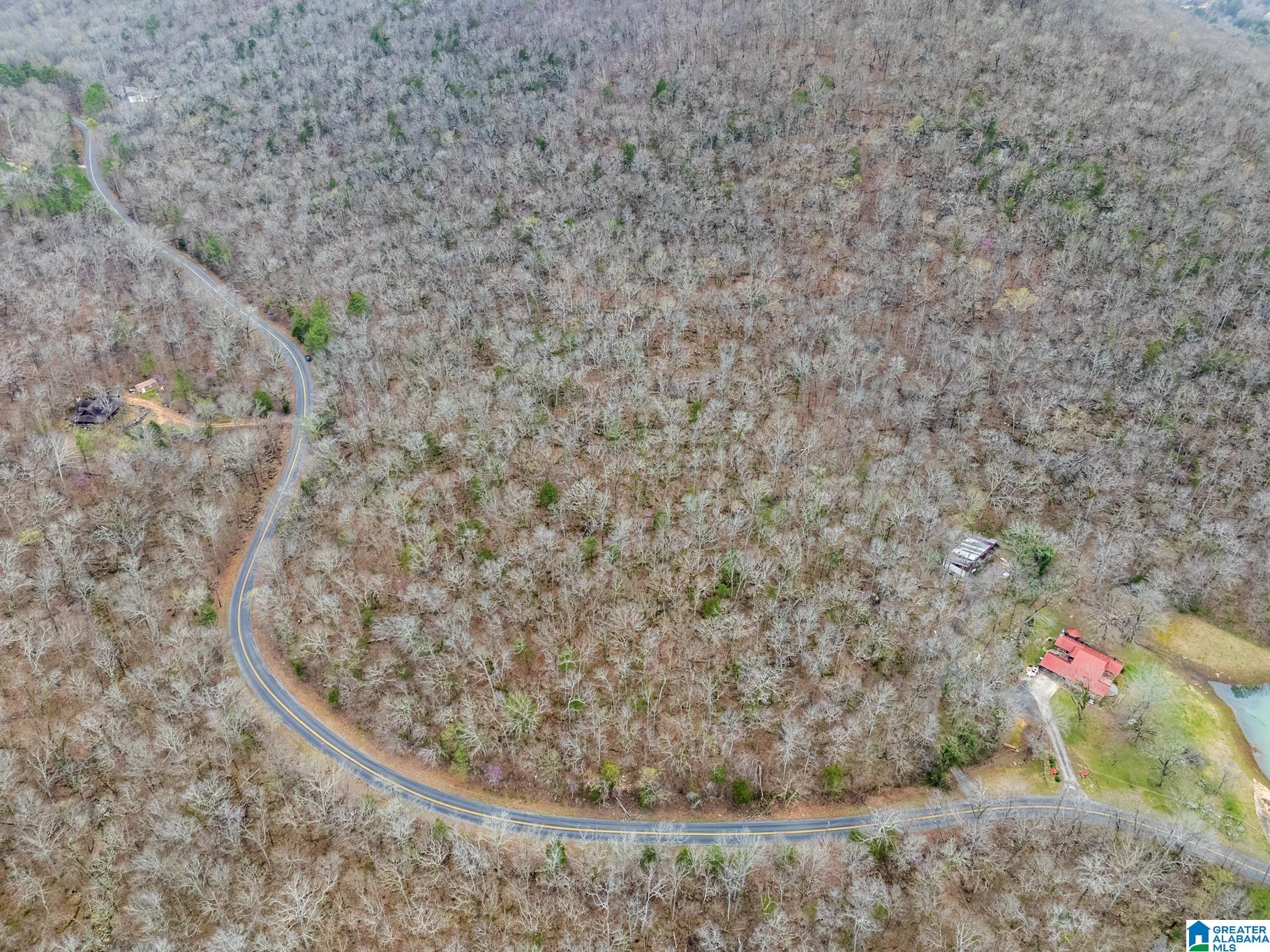 Homes for sale in Warrior, AL | 0 Valley Trail, Warrior, AL 35180 | MLS# 21379272