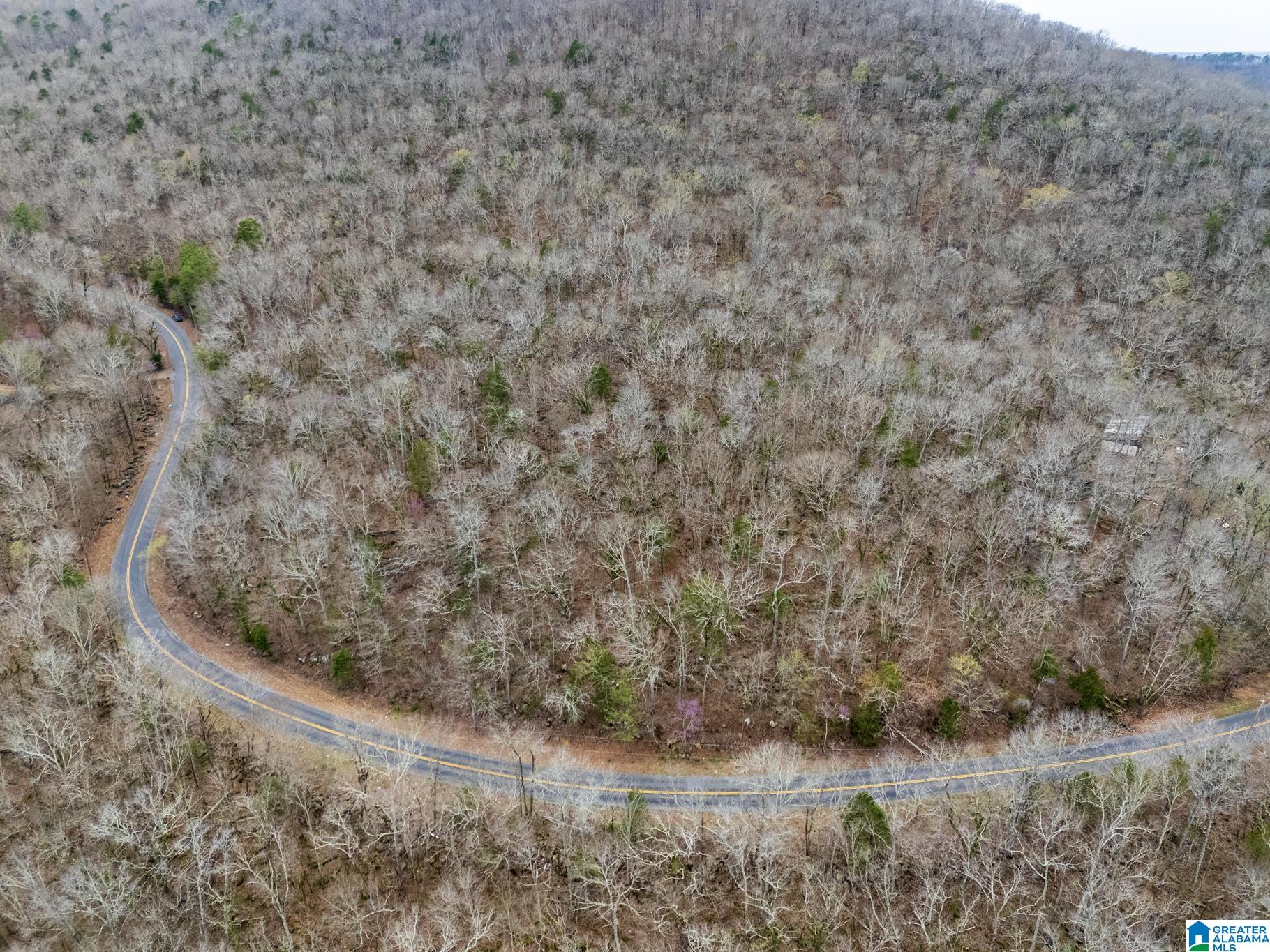 Homes for sale in Warrior, AL | 0 Valley Trail, Warrior, AL 35180 | MLS# 21379272