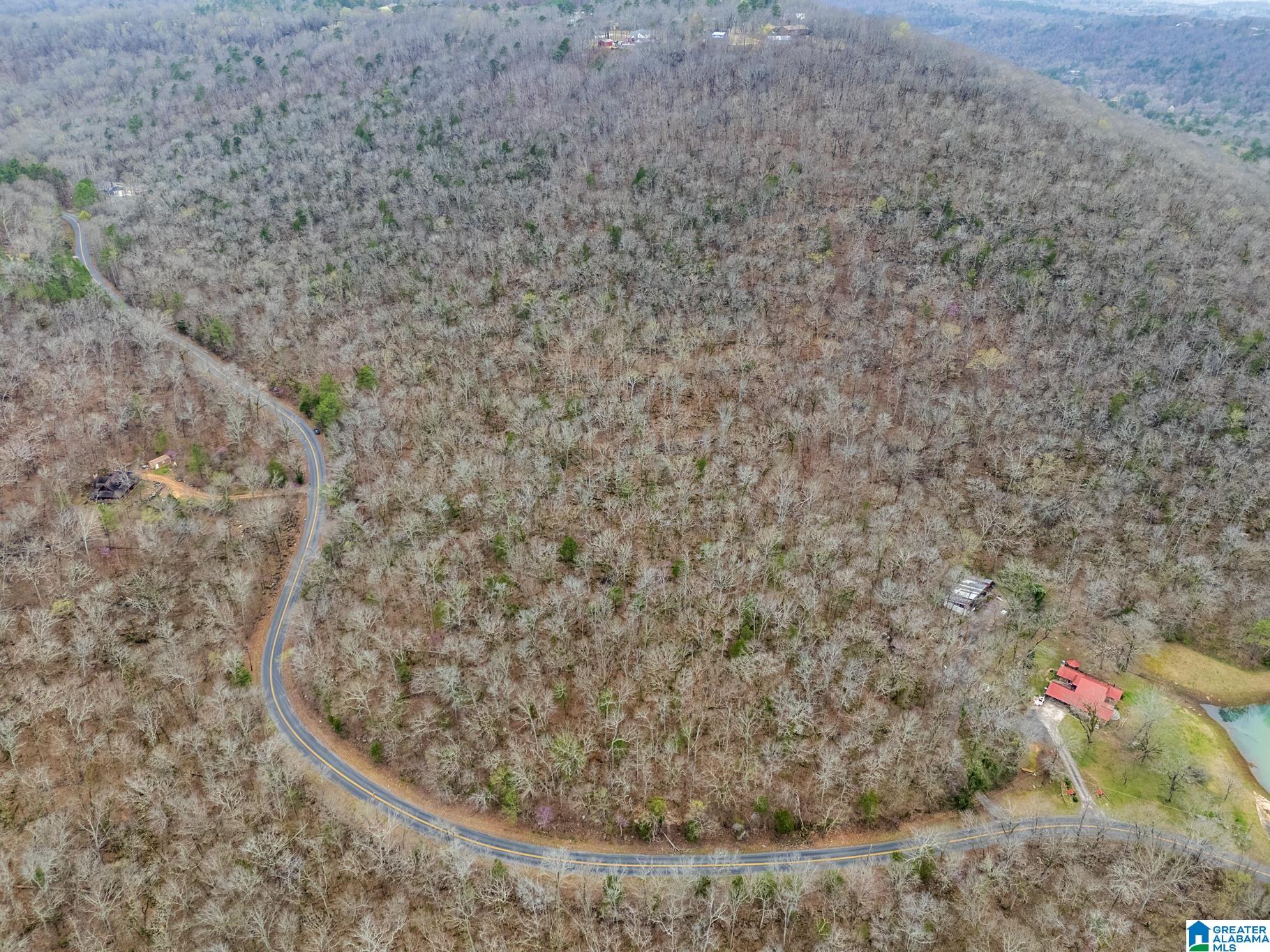 Homes for sale in Warrior, AL | 0 Valley Trail, Warrior, AL 35180 | MLS# 21379272