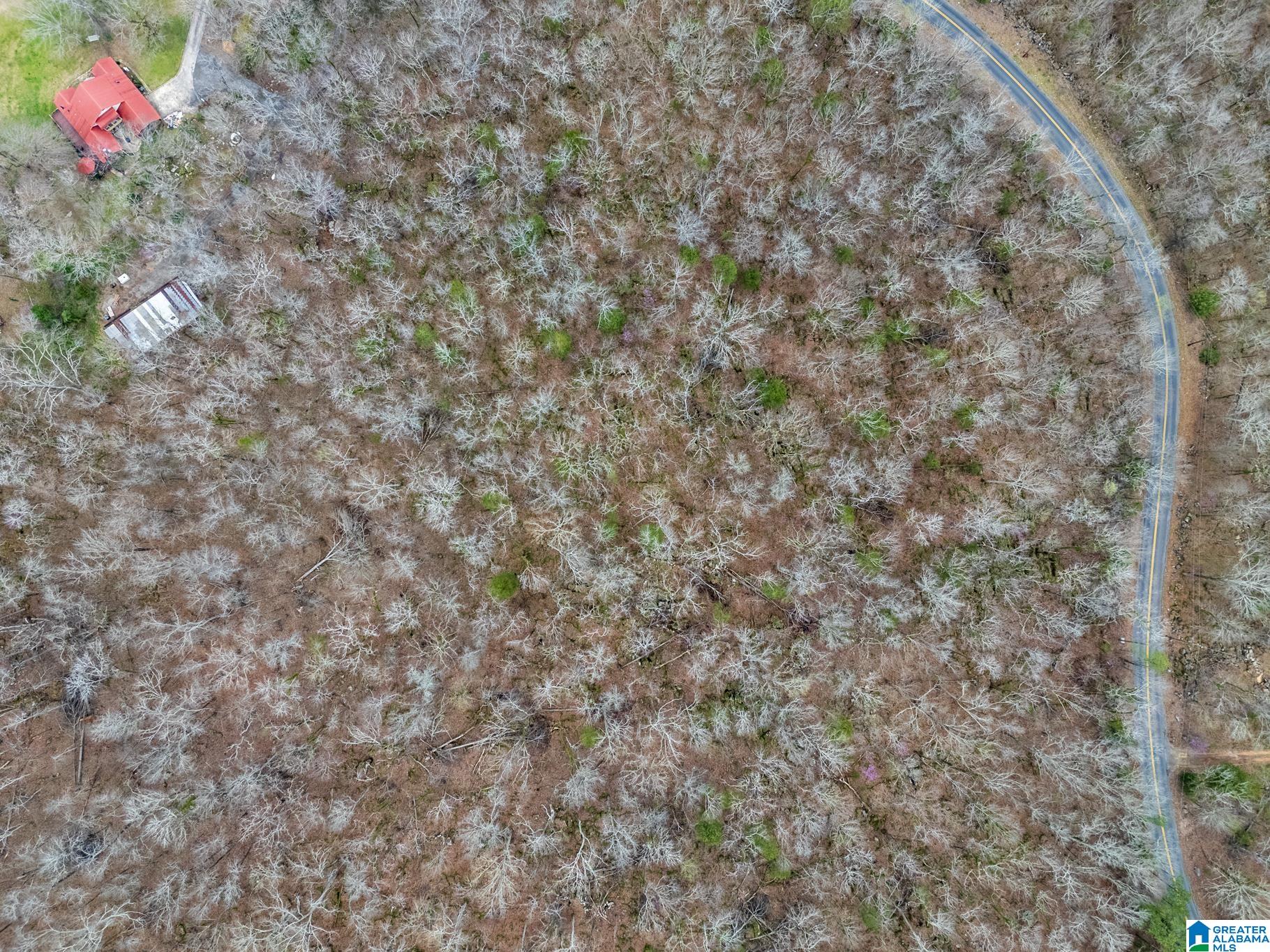 Homes for sale in Warrior, AL | 0 Valley Trail, Warrior, AL 35180 | MLS# 21379272