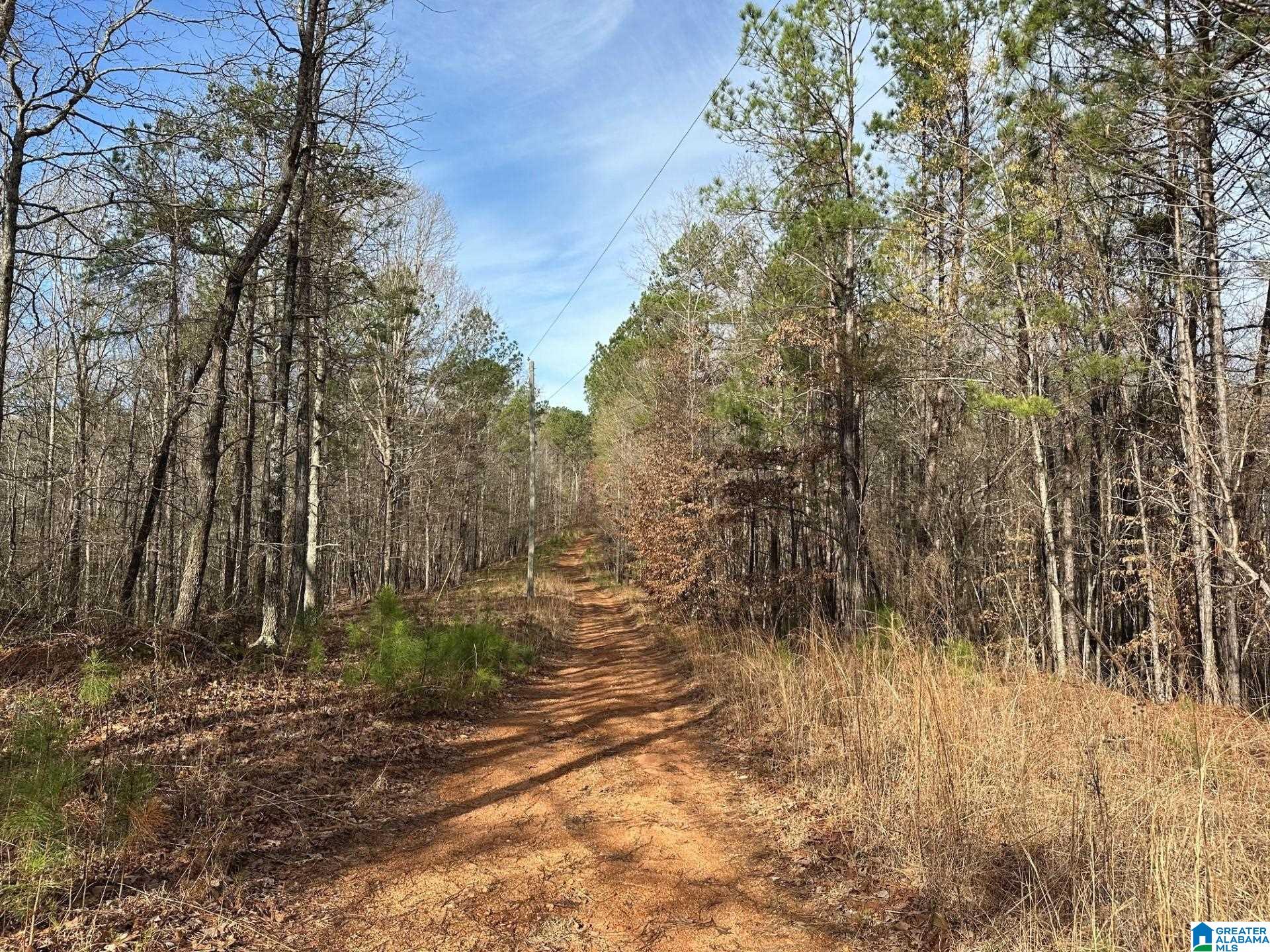 COUNTY ROAD 337 32.5, GOODWATER, AL 35072