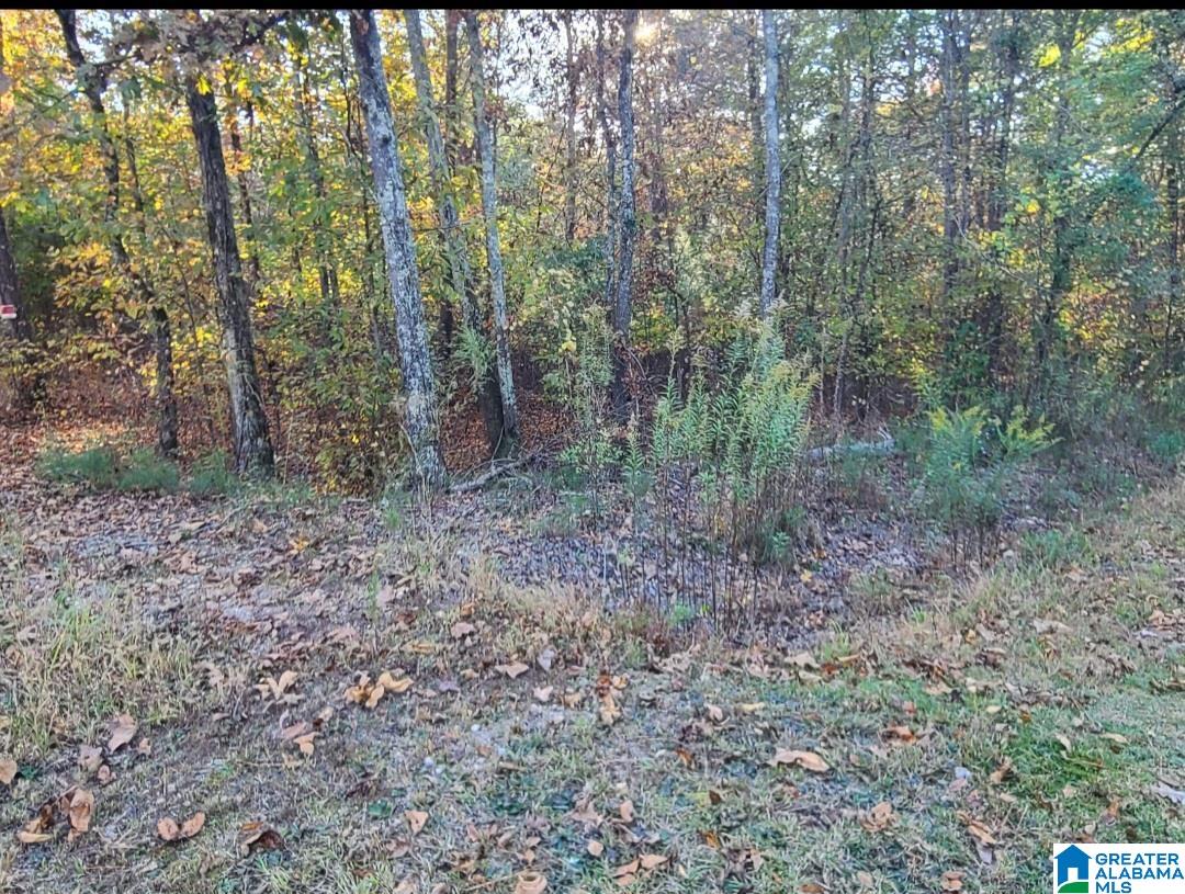 Kennedy Drive #LOT 13, ONEONTA, Alabama image 3