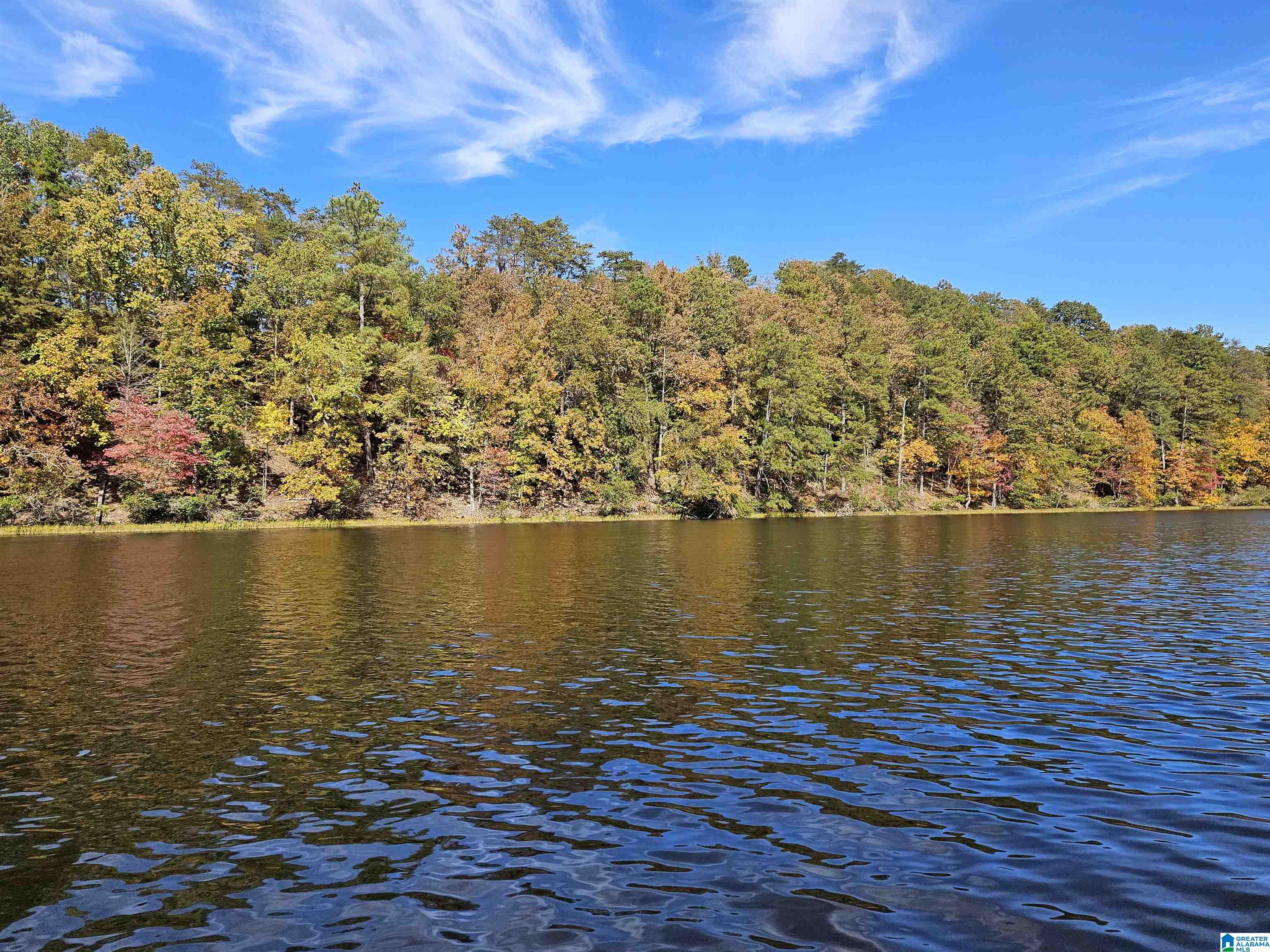 Kennedy Drive #LOT 13, ONEONTA, Alabama image 4