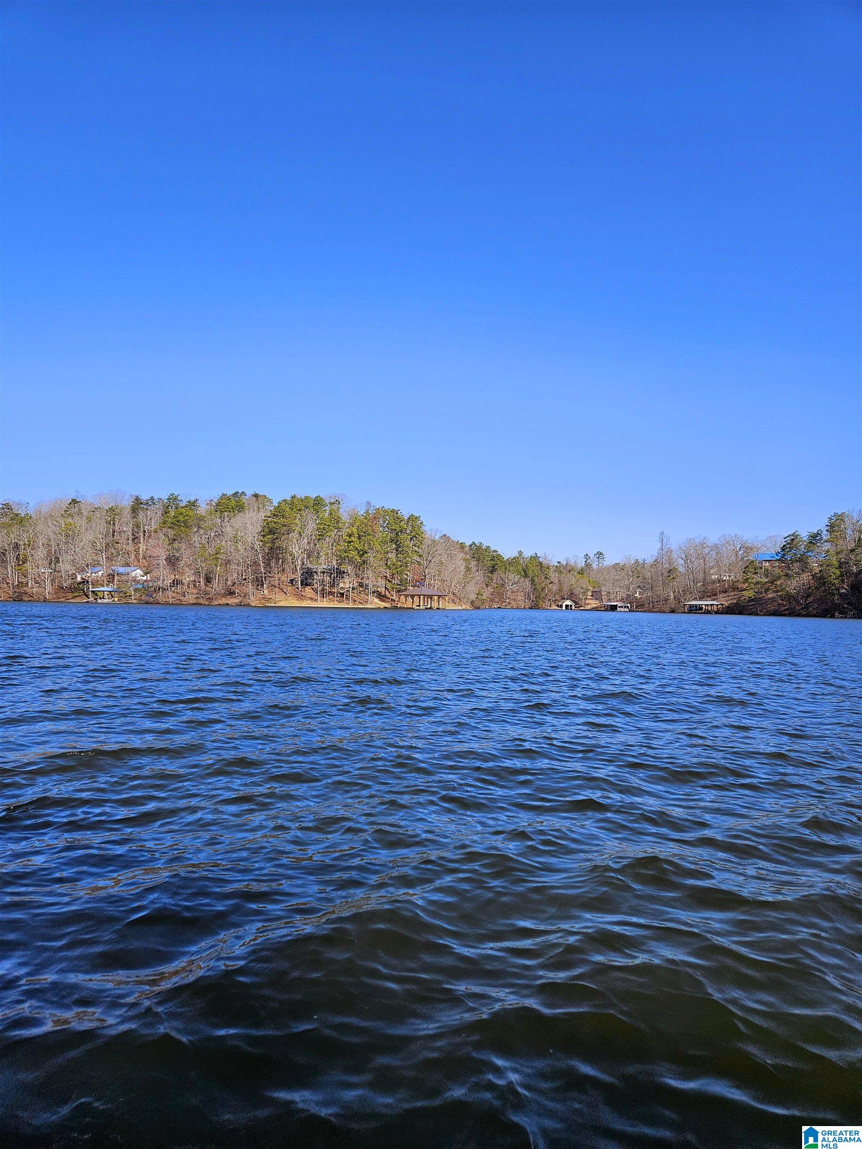 Kennedy Drive #LOT 13, ONEONTA, Alabama image 5