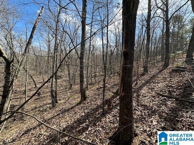 Homes for sale in Pelham, AL | 134 & 136 Hampton Lake Dr, Pelham, AL 35124 | MLS# 21379526