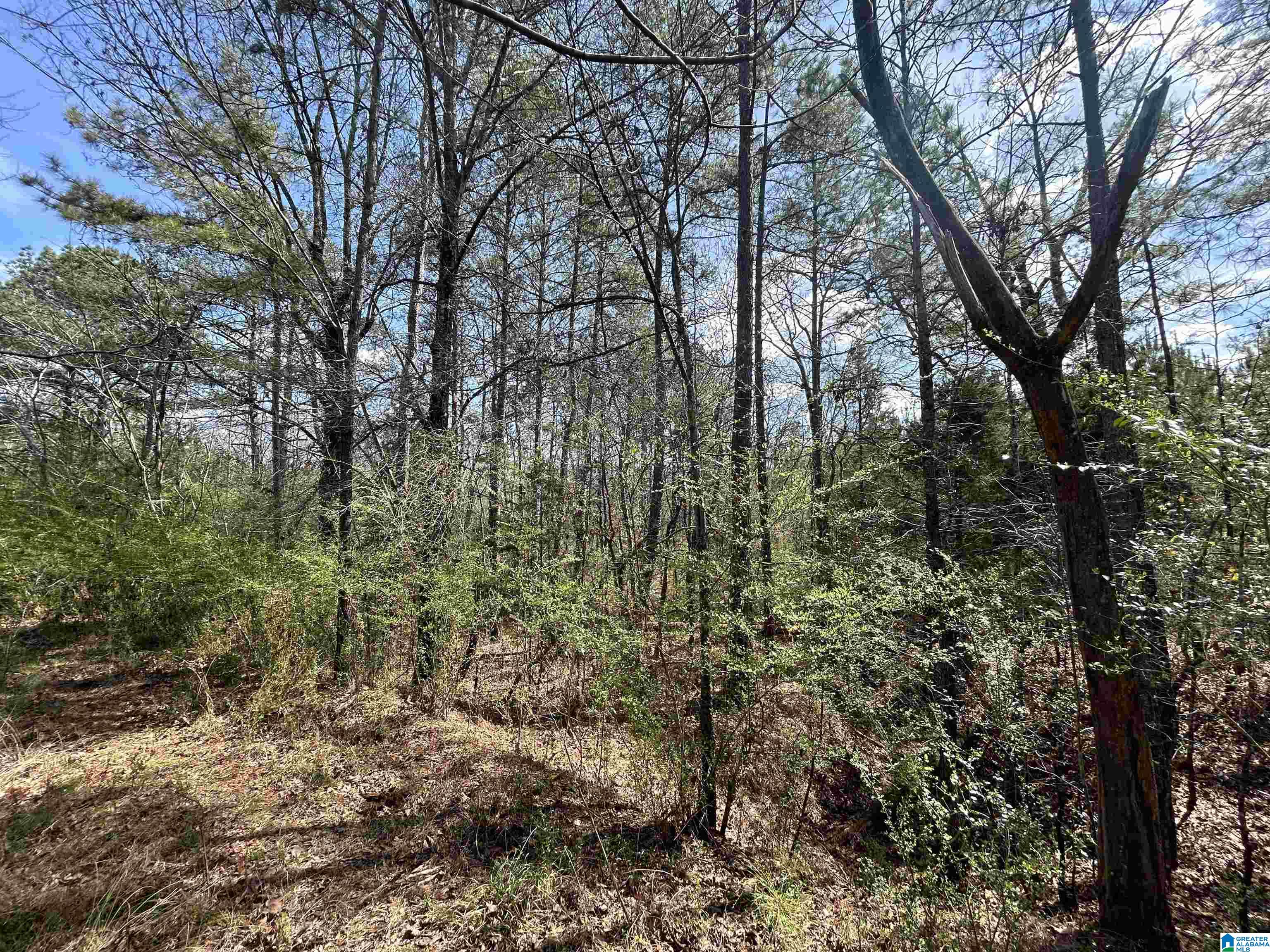 Homes for sale in Mc Calla, AL | 7510 Springer Road, Mc Calla, AL 35111 | MLS# 21379571