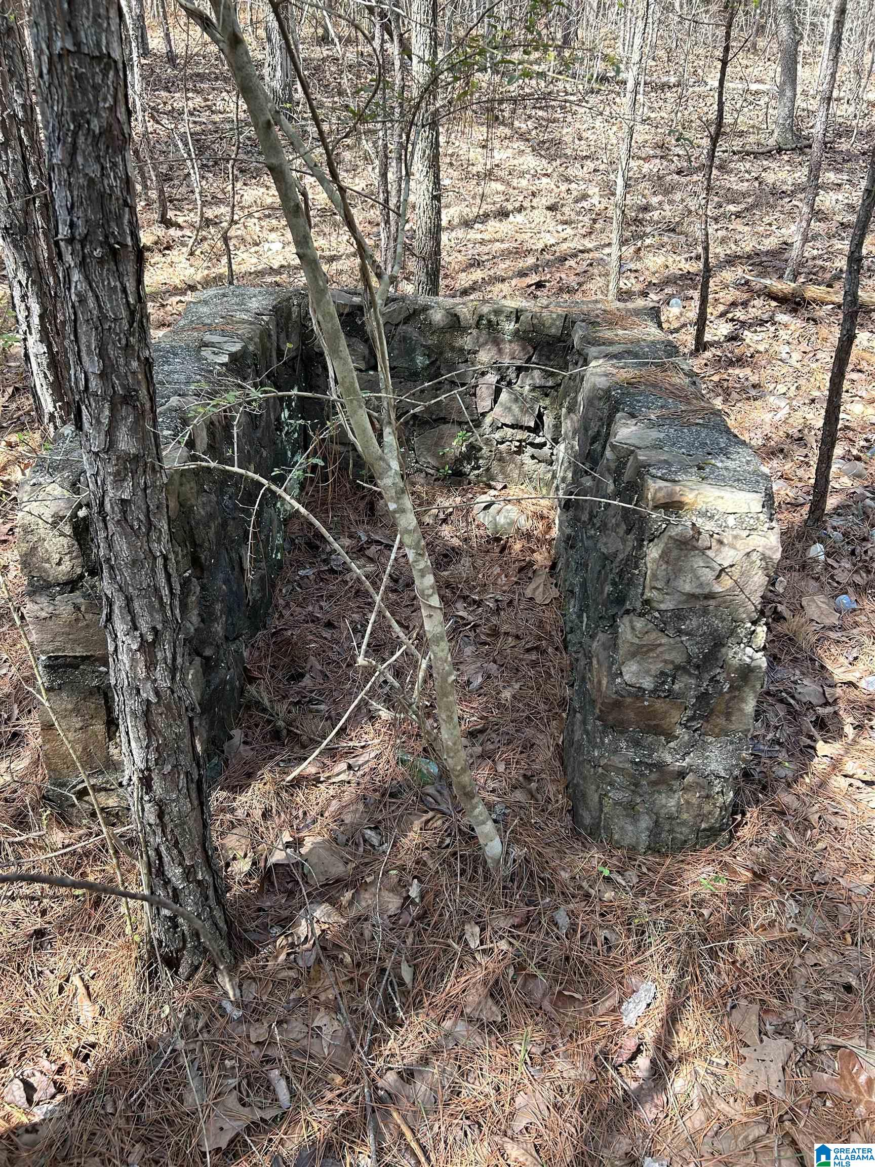 Homes for sale in Mc Calla, AL | 7510 Springer Road, Mc Calla, AL 35111 | MLS# 21379571