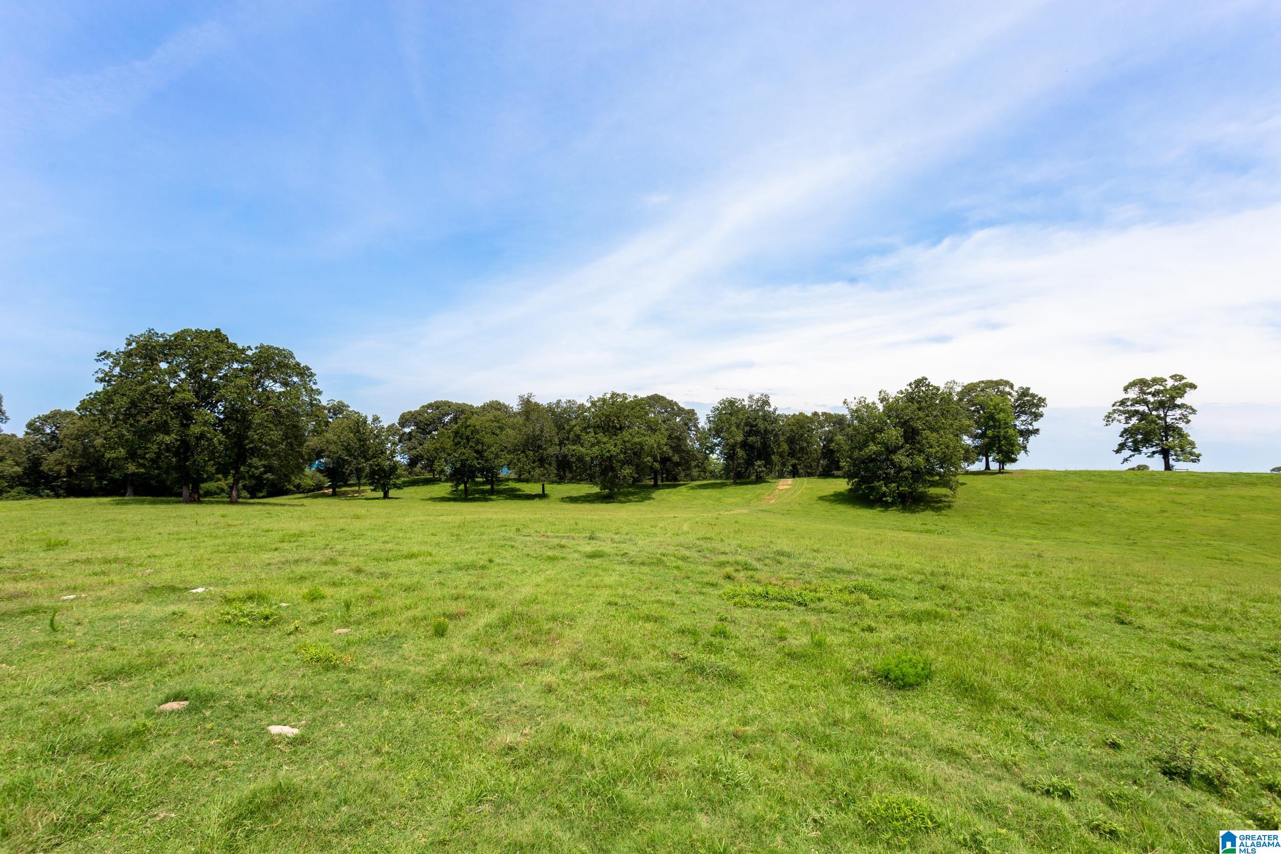 Rushing Springs Road #1, LINCOLN, Alabama image 17