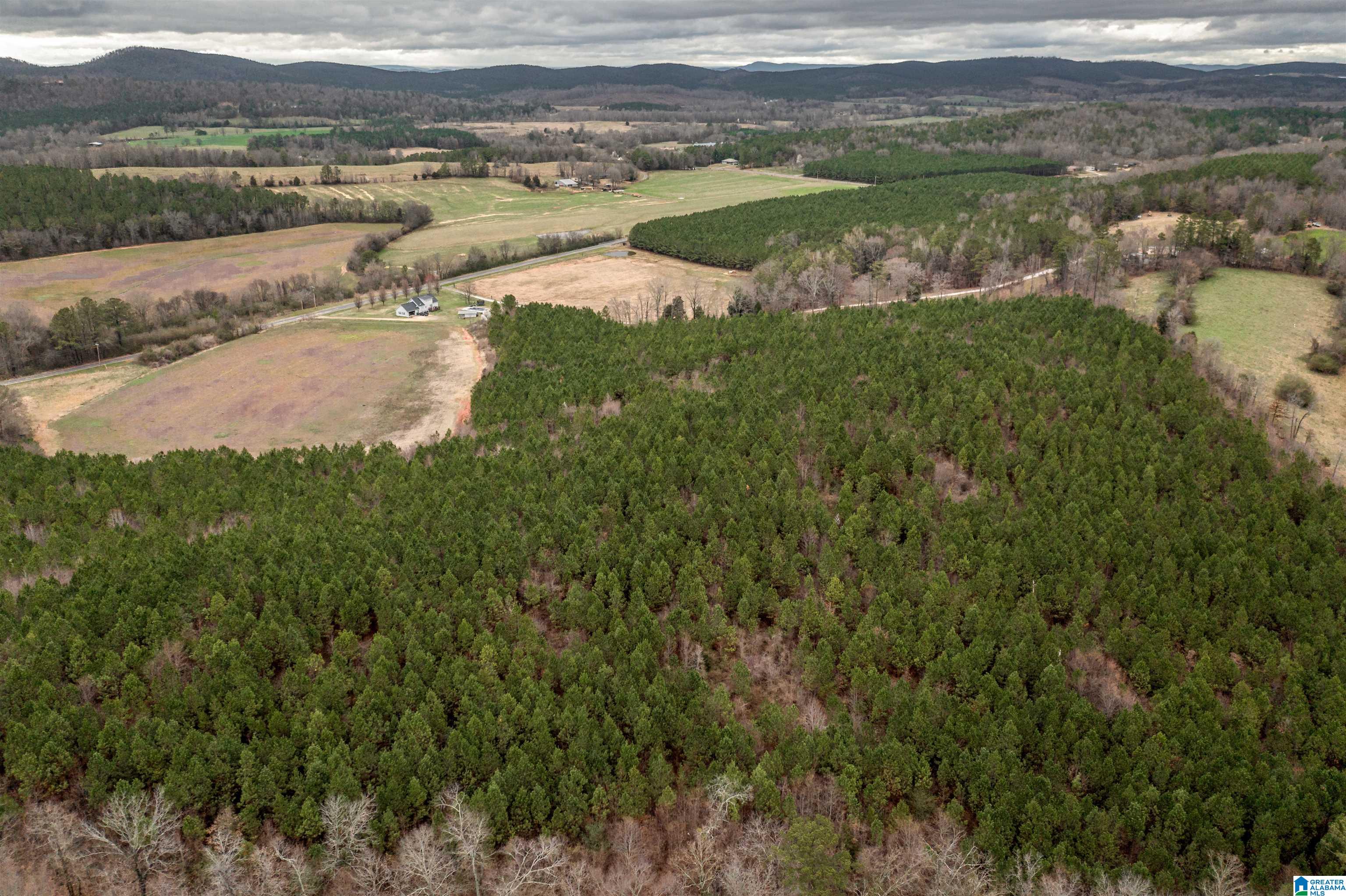 40 Acres County Road 29 #40 ACRES, PIEDMONT, Alabama image 9