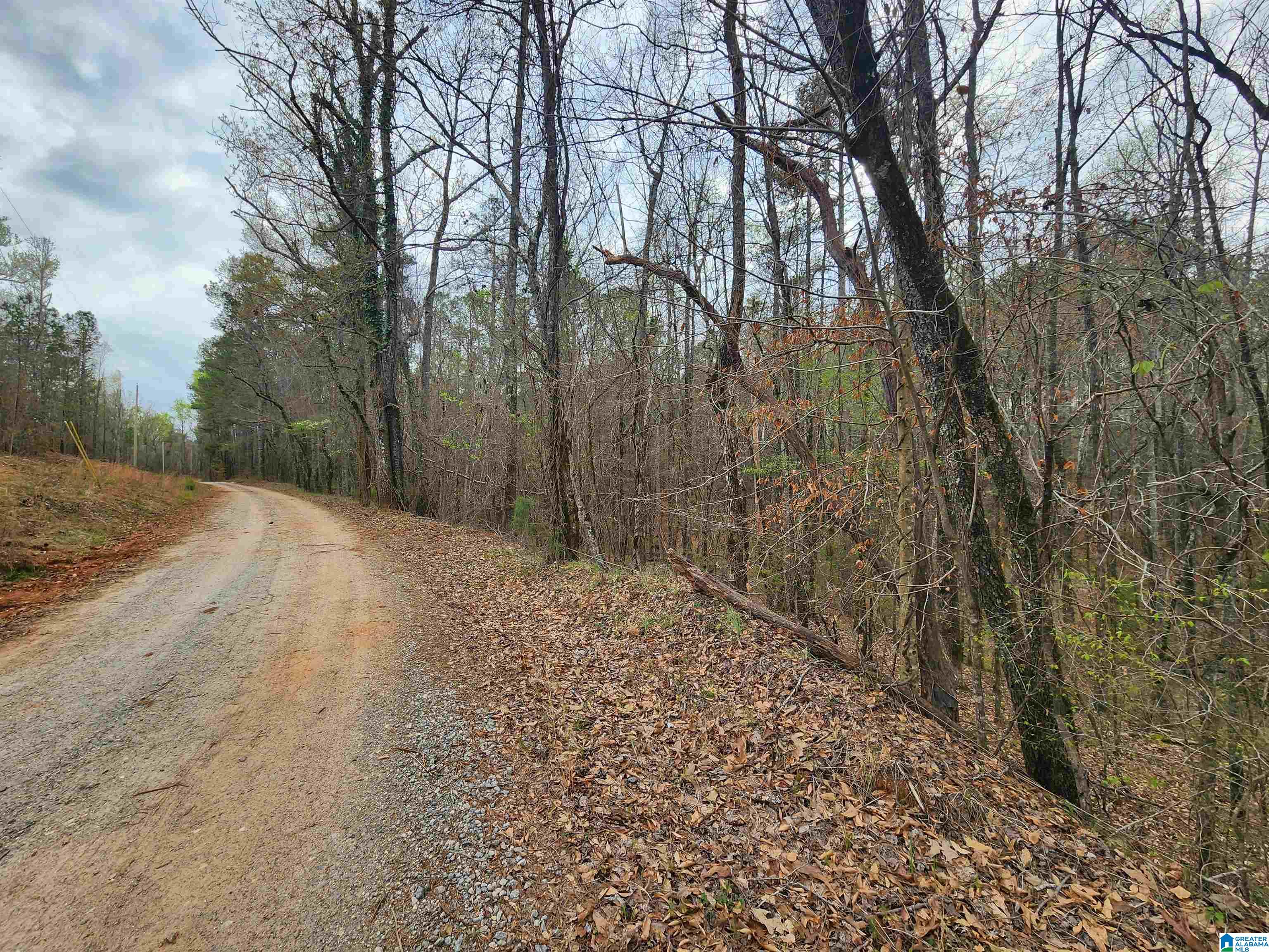 0000 COUNTY ROAD 141 1, GOODWATER, AL 35072