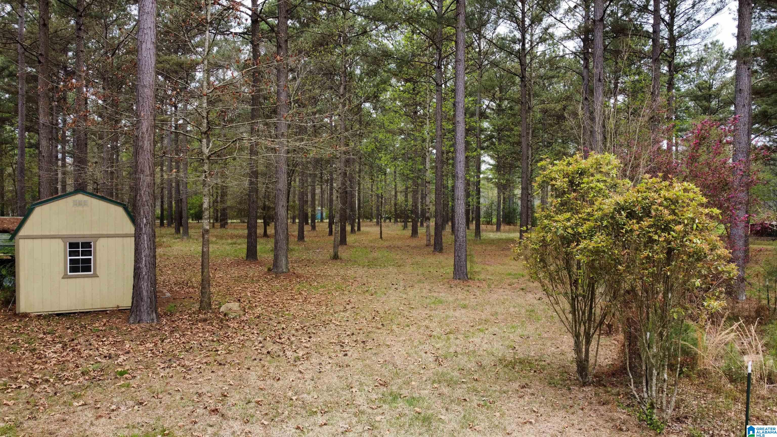 551 Liberty Shores Boulevard #6A 6B, VINCENT, Alabama image 4