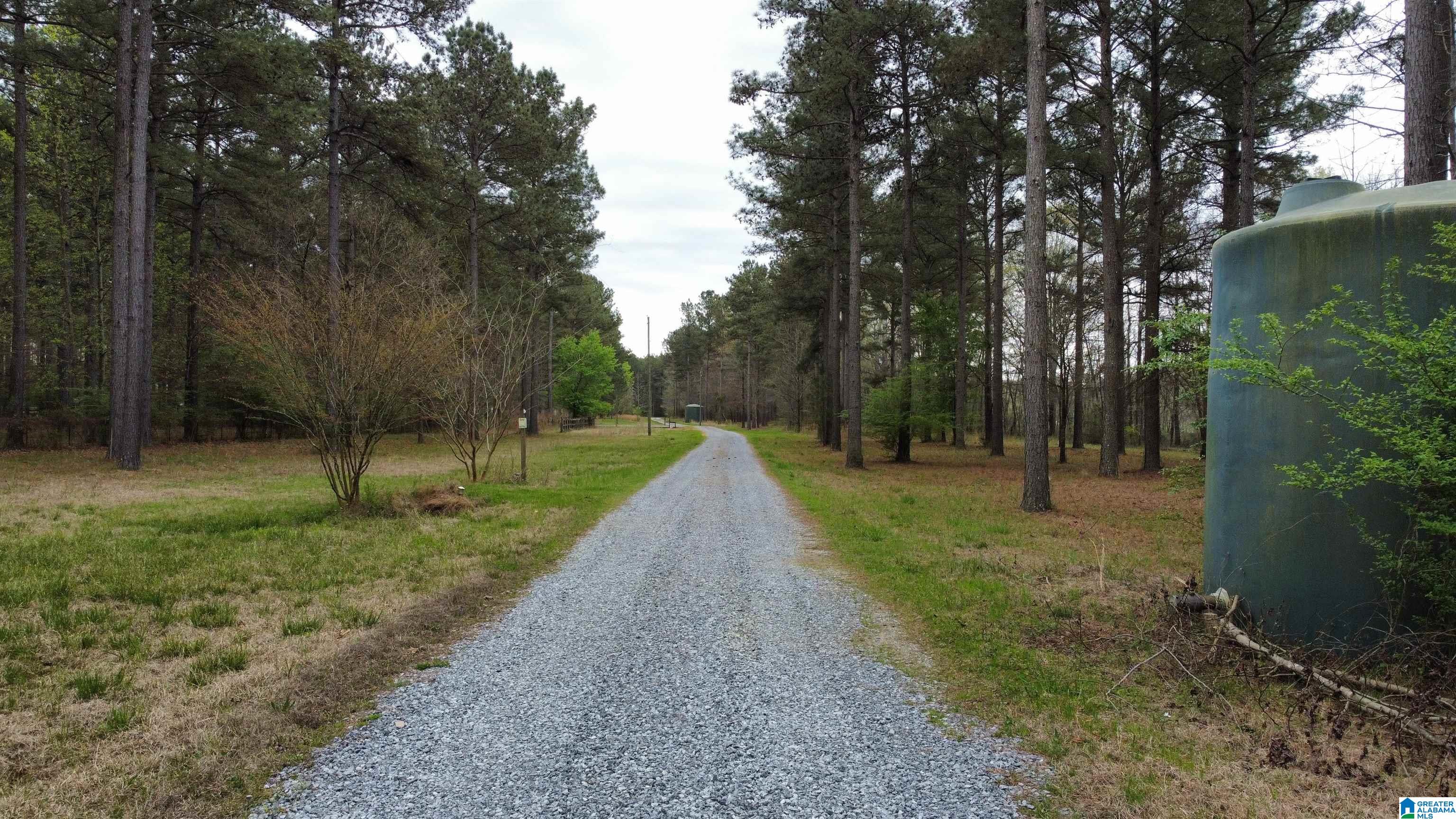 551 Liberty Shores Boulevard #6A 6B, VINCENT, Alabama image 37